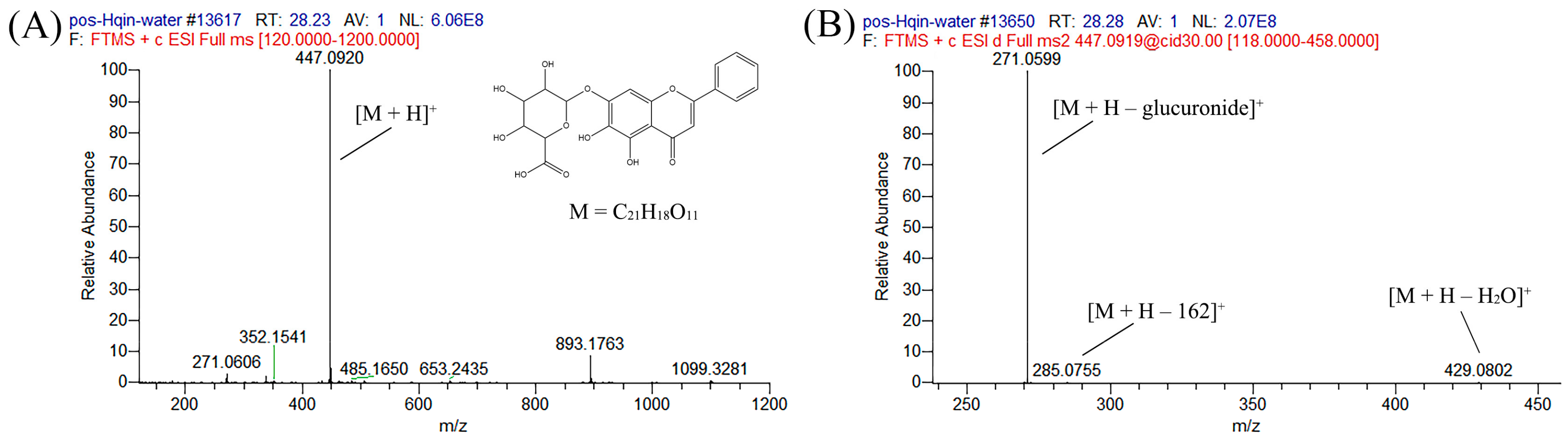 Ijms 25 02045 g002 Ijms 25 02045 g002