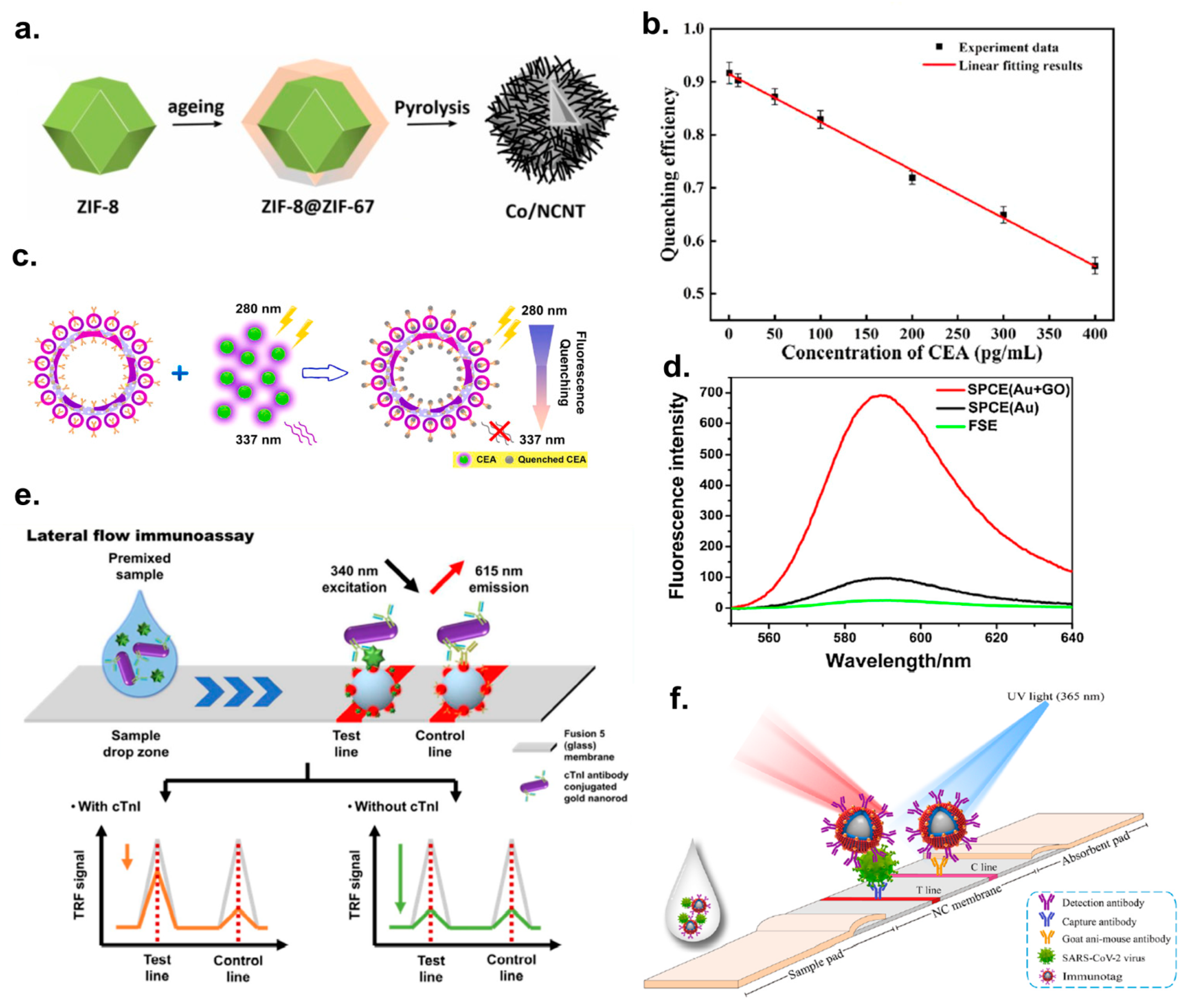 Ijms 25 02080 g001 Ijms 25 02080 g001