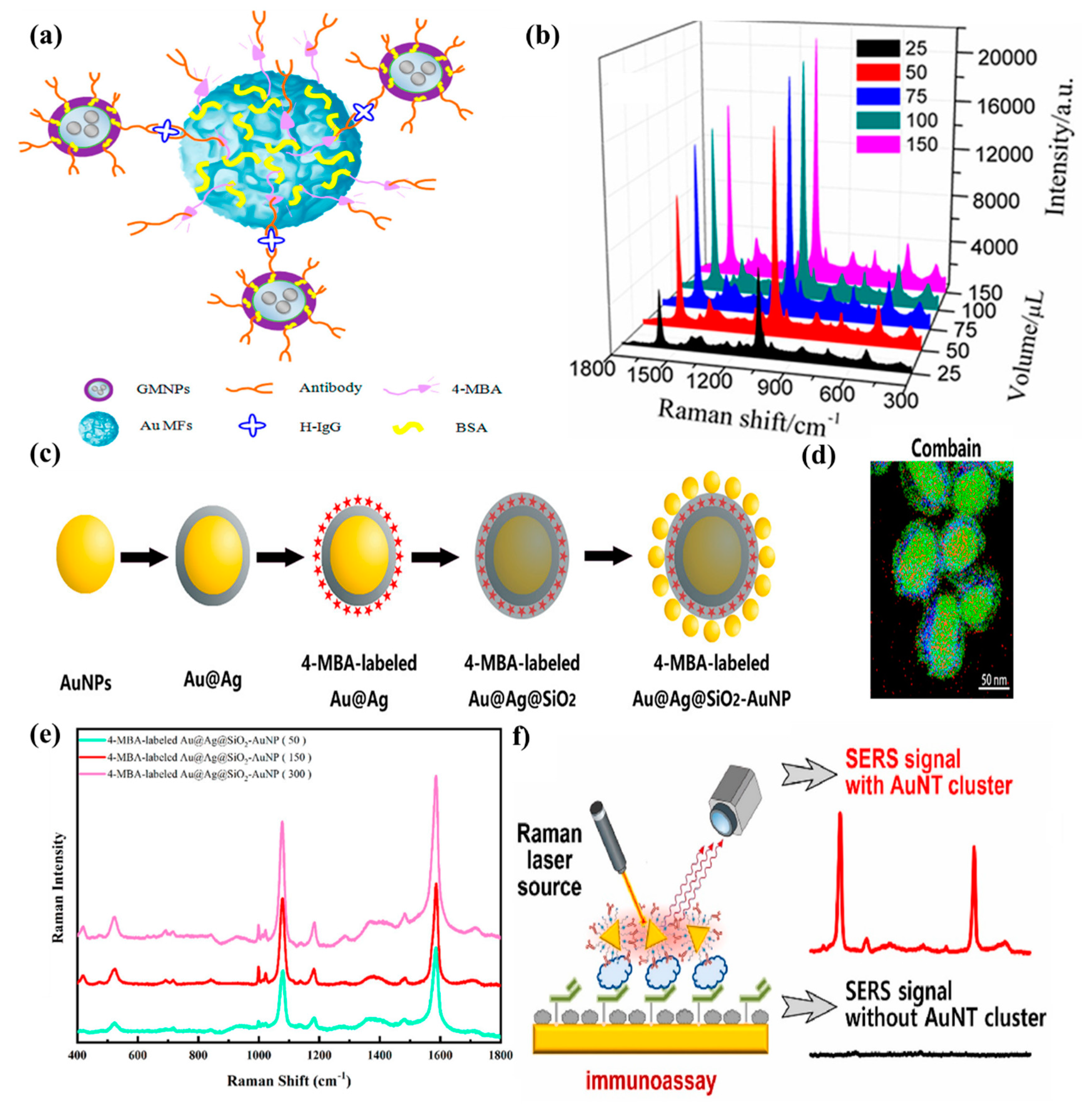 Ijms 25 02080 g002 Ijms 25 02080 g002