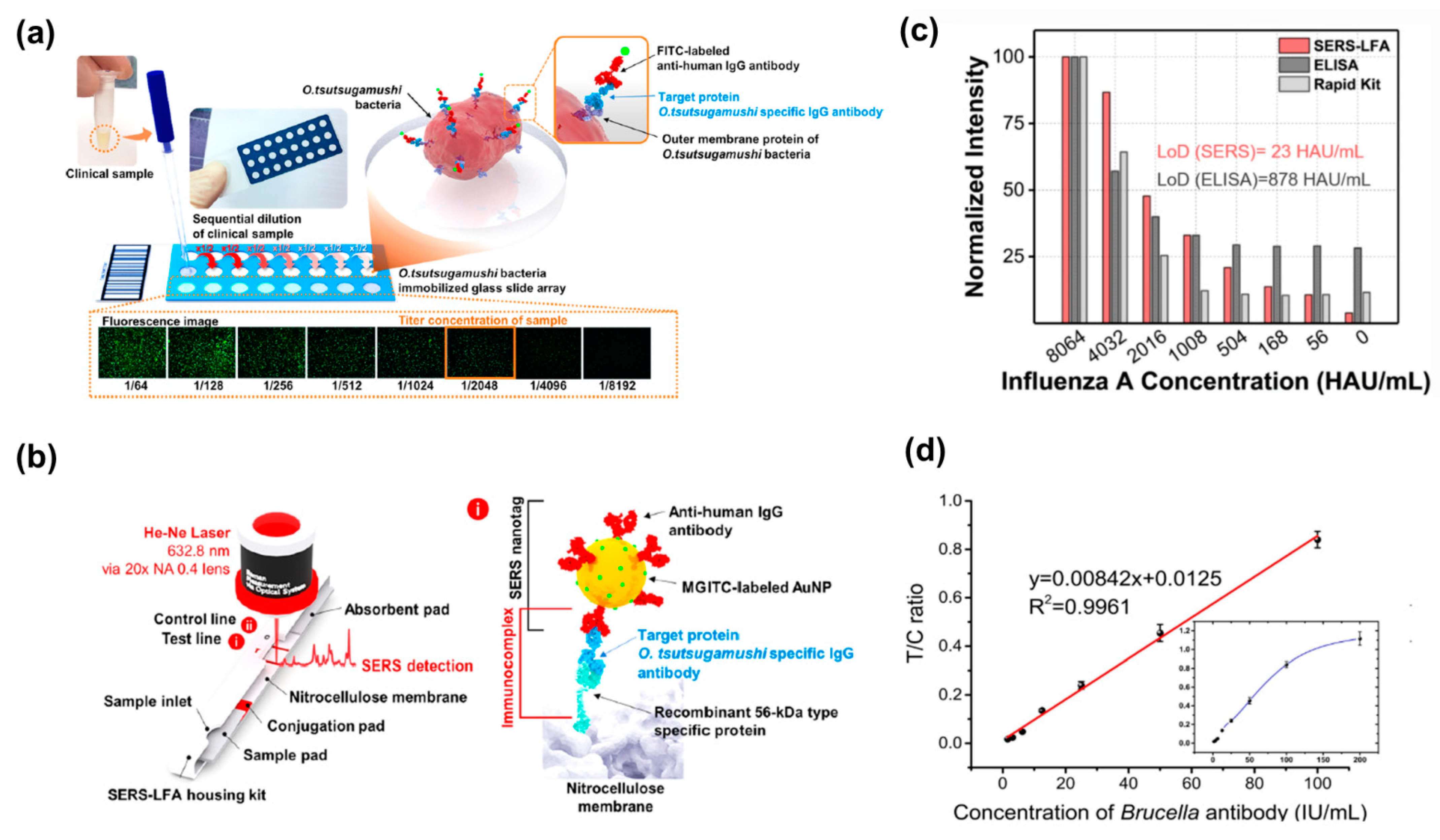Ijms 25 02080 g003 Ijms 25 02080 g003