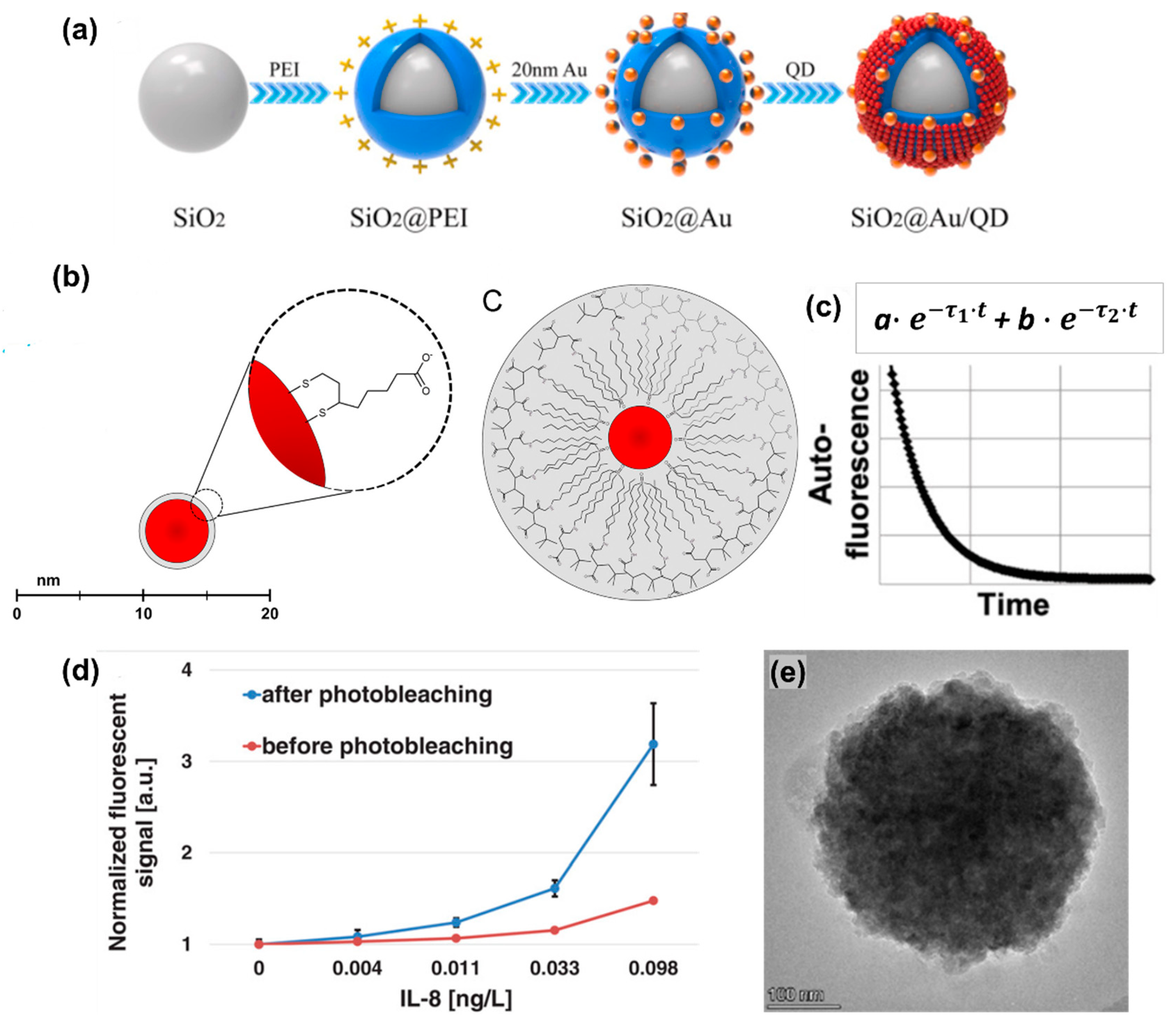 Ijms 25 02080 g005 Ijms 25 02080 g005