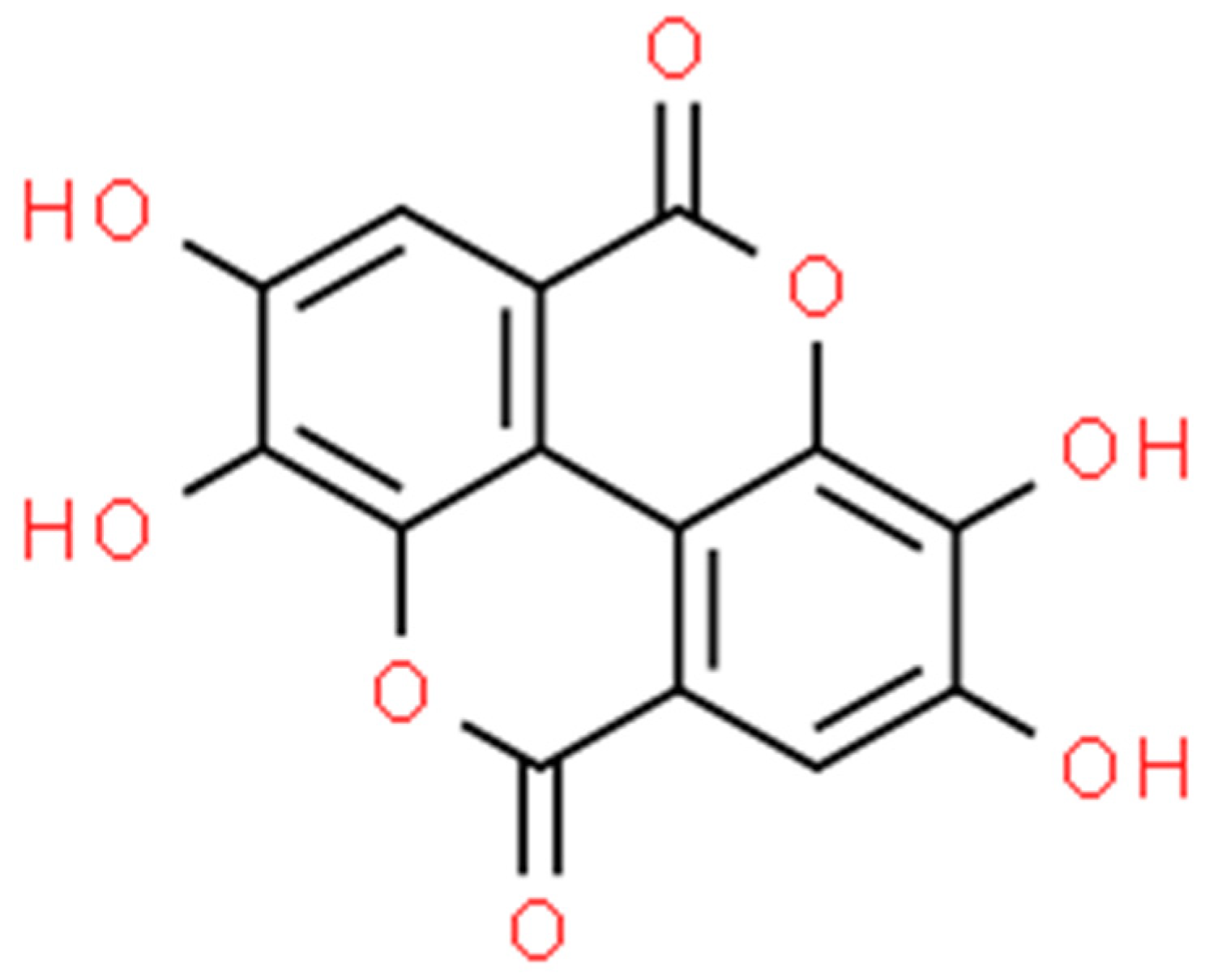 Ijms 25 02100 g009 Ijms 25 02100 g009