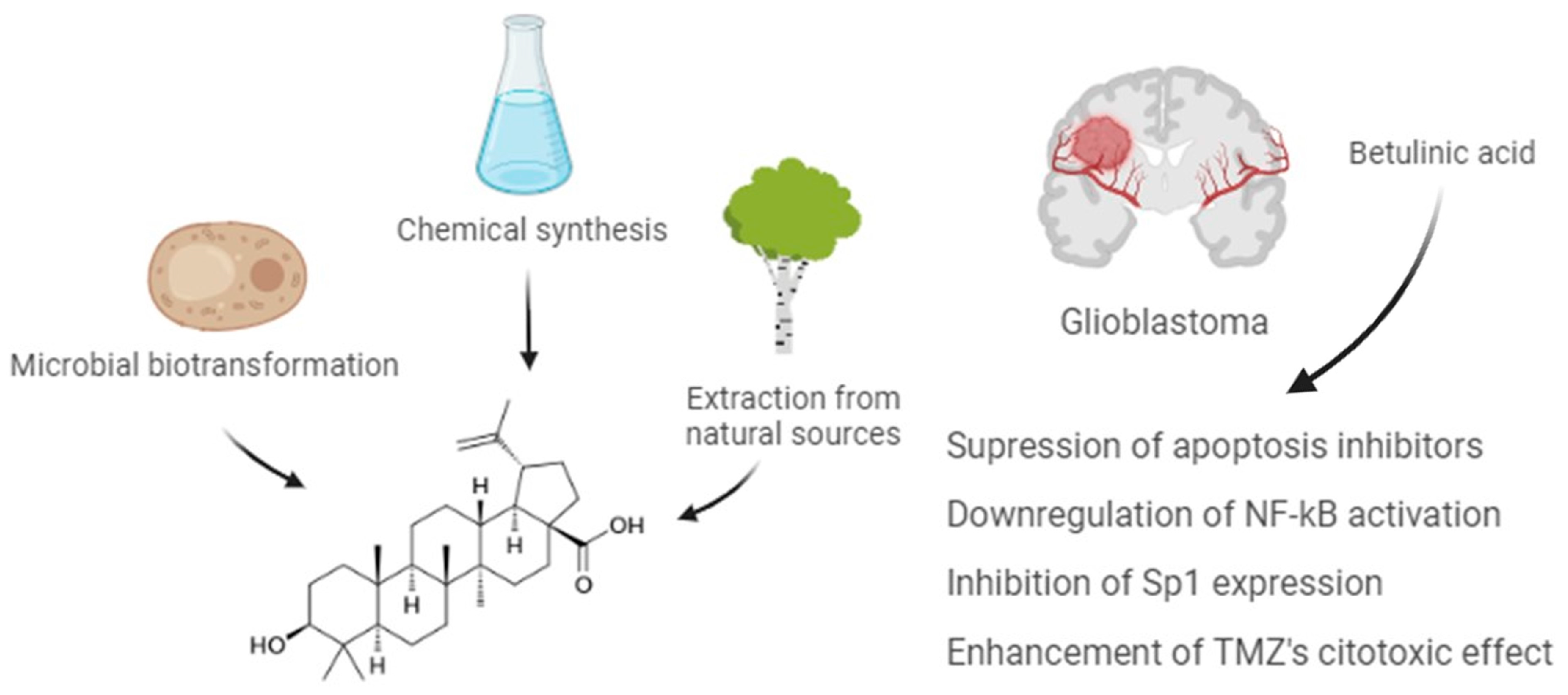 Ijms 25 02108 g002 Ijms 25 02108 g002