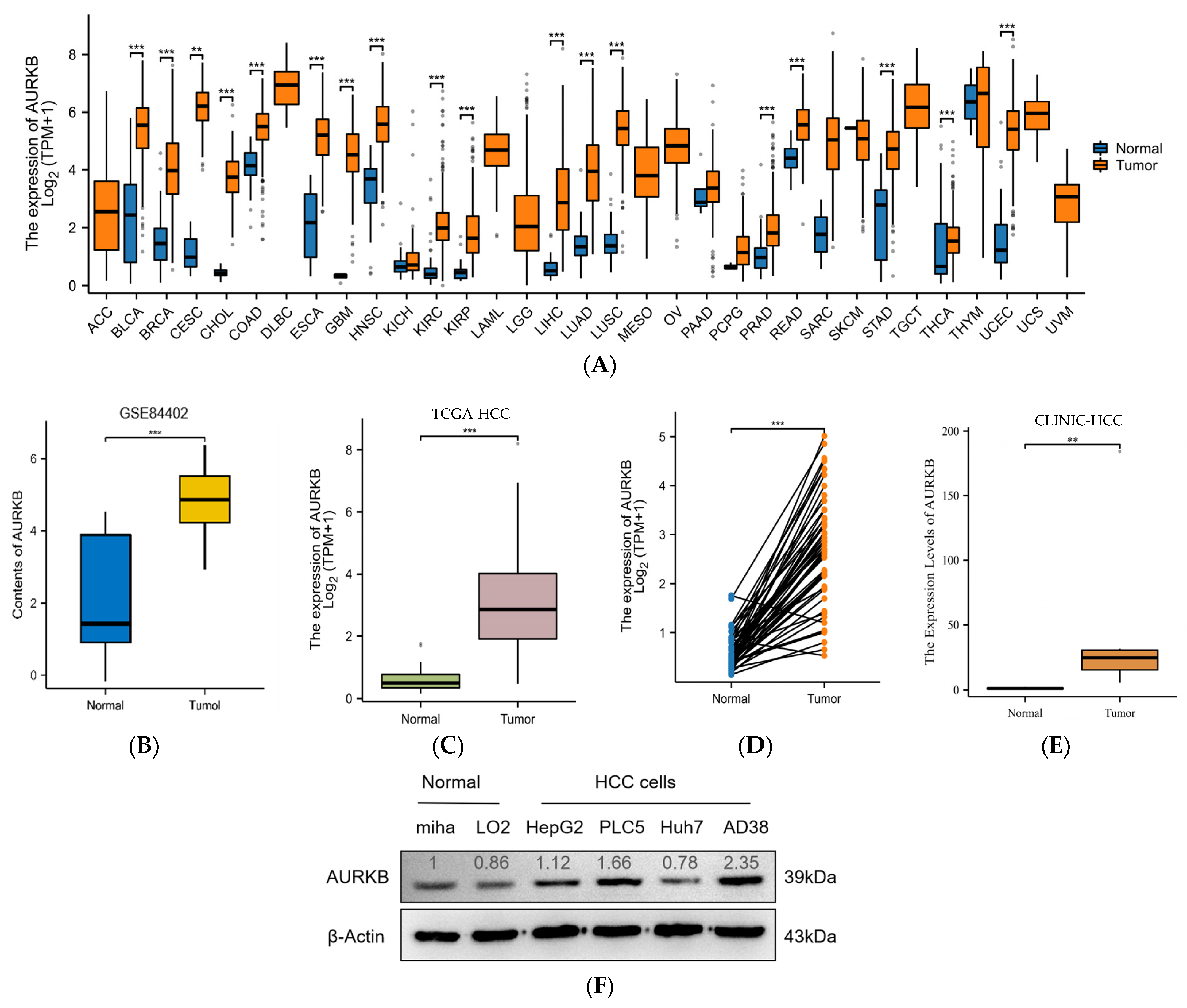 Ijms 25 02199 g001a Ijms 25 02199 g001a