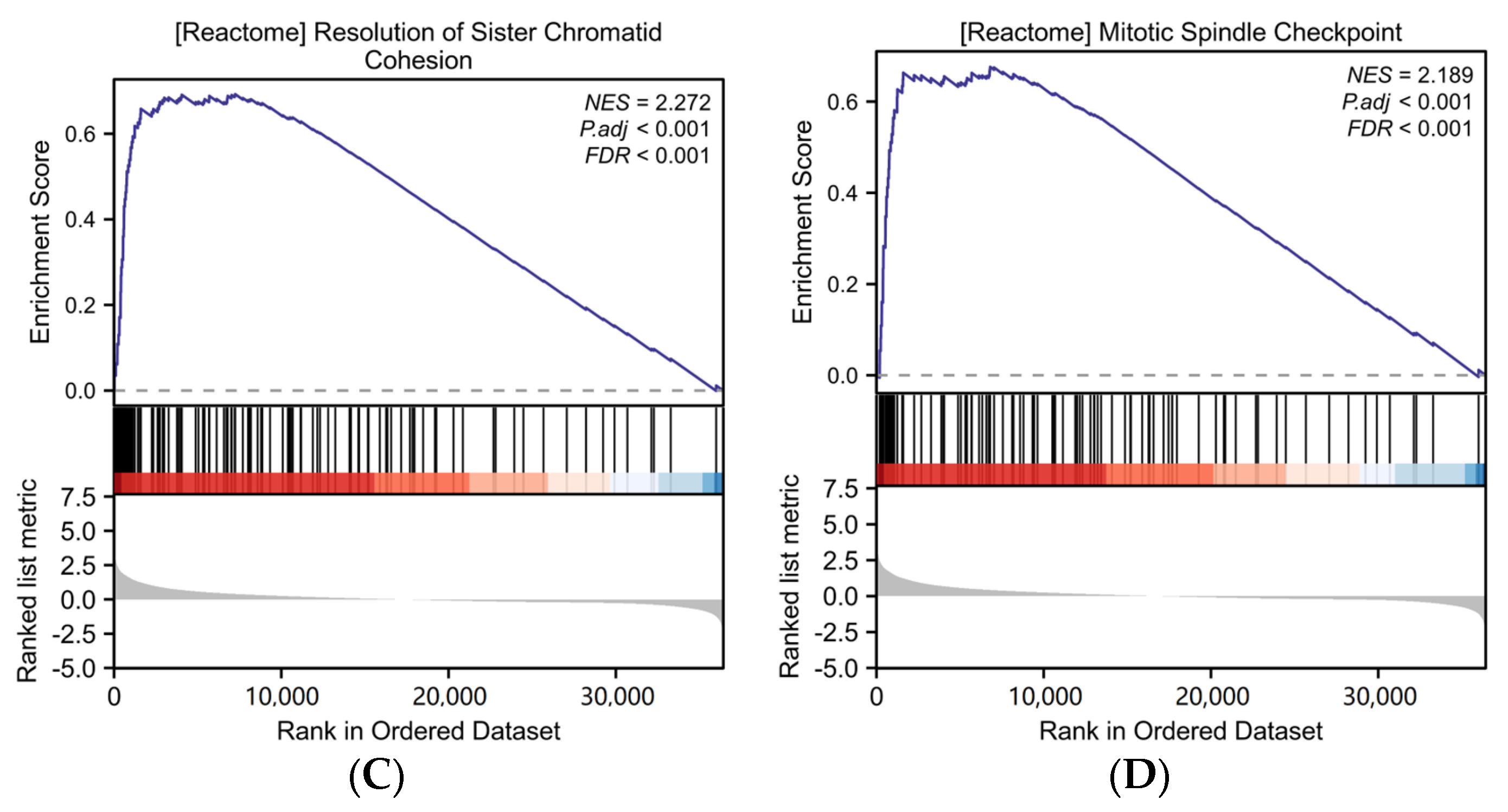 Ijms 25 02199 g002b Ijms 25 02199 g002b