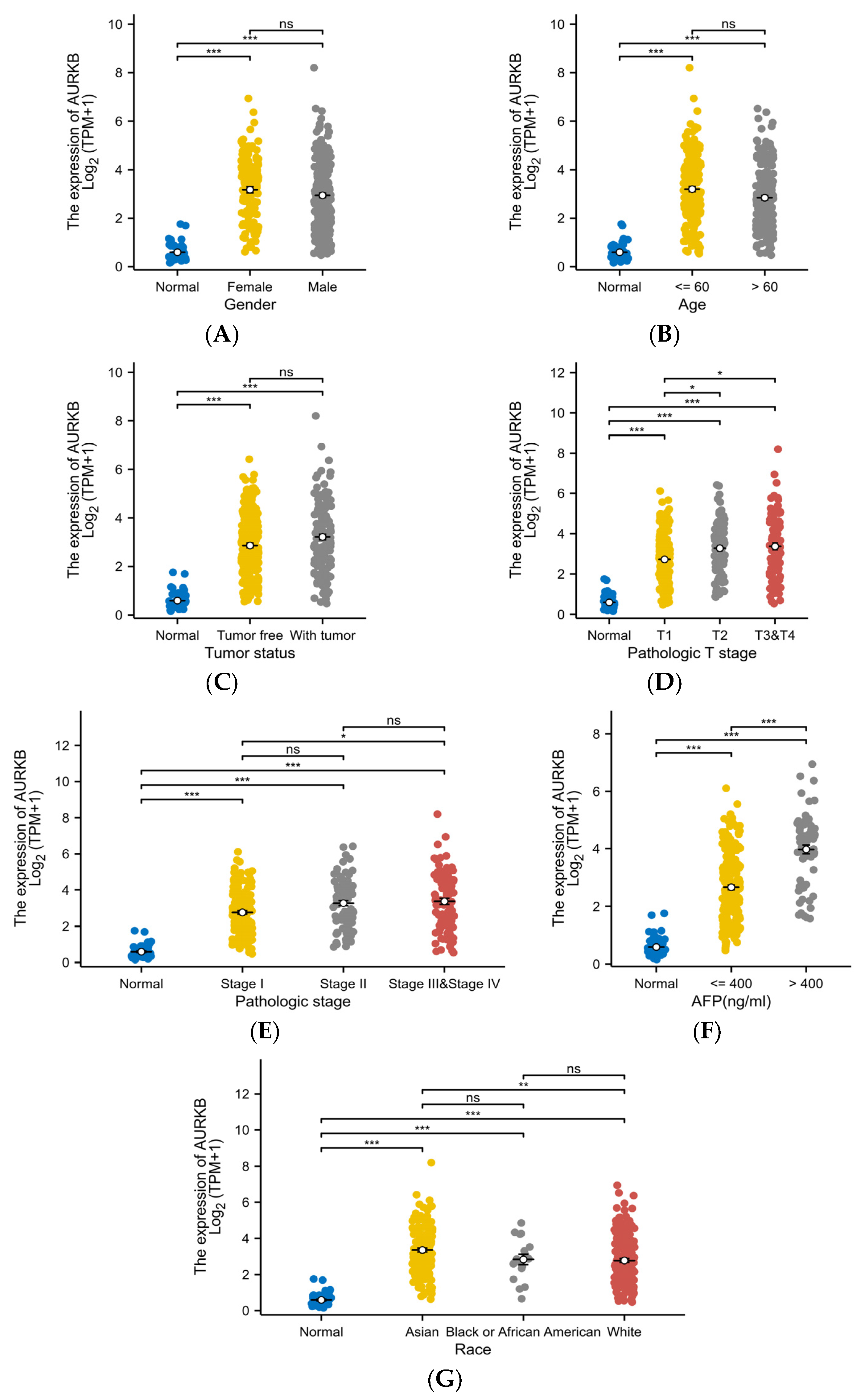 Ijms 25 02199 g004 Ijms 25 02199 g004