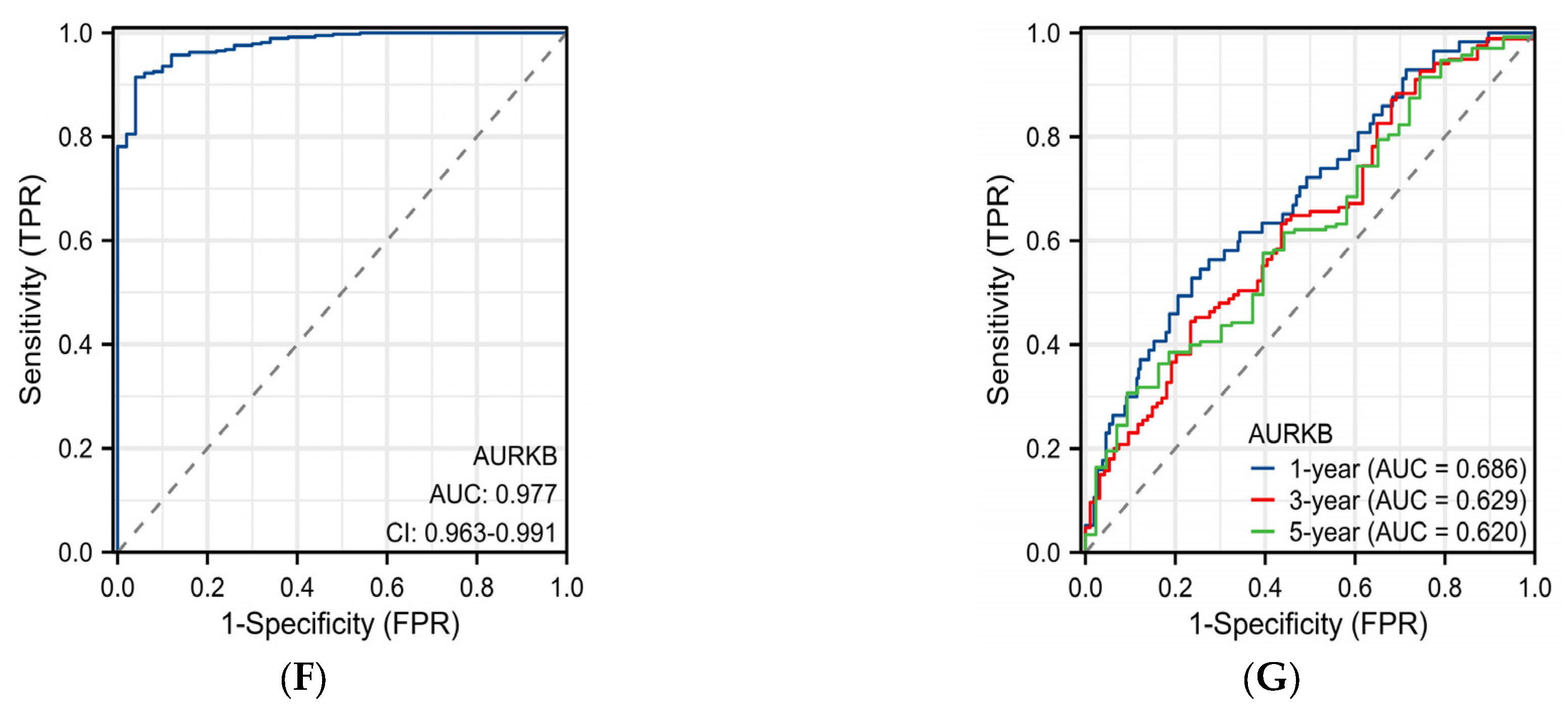 Ijms 25 02199 g005b Ijms 25 02199 g005b