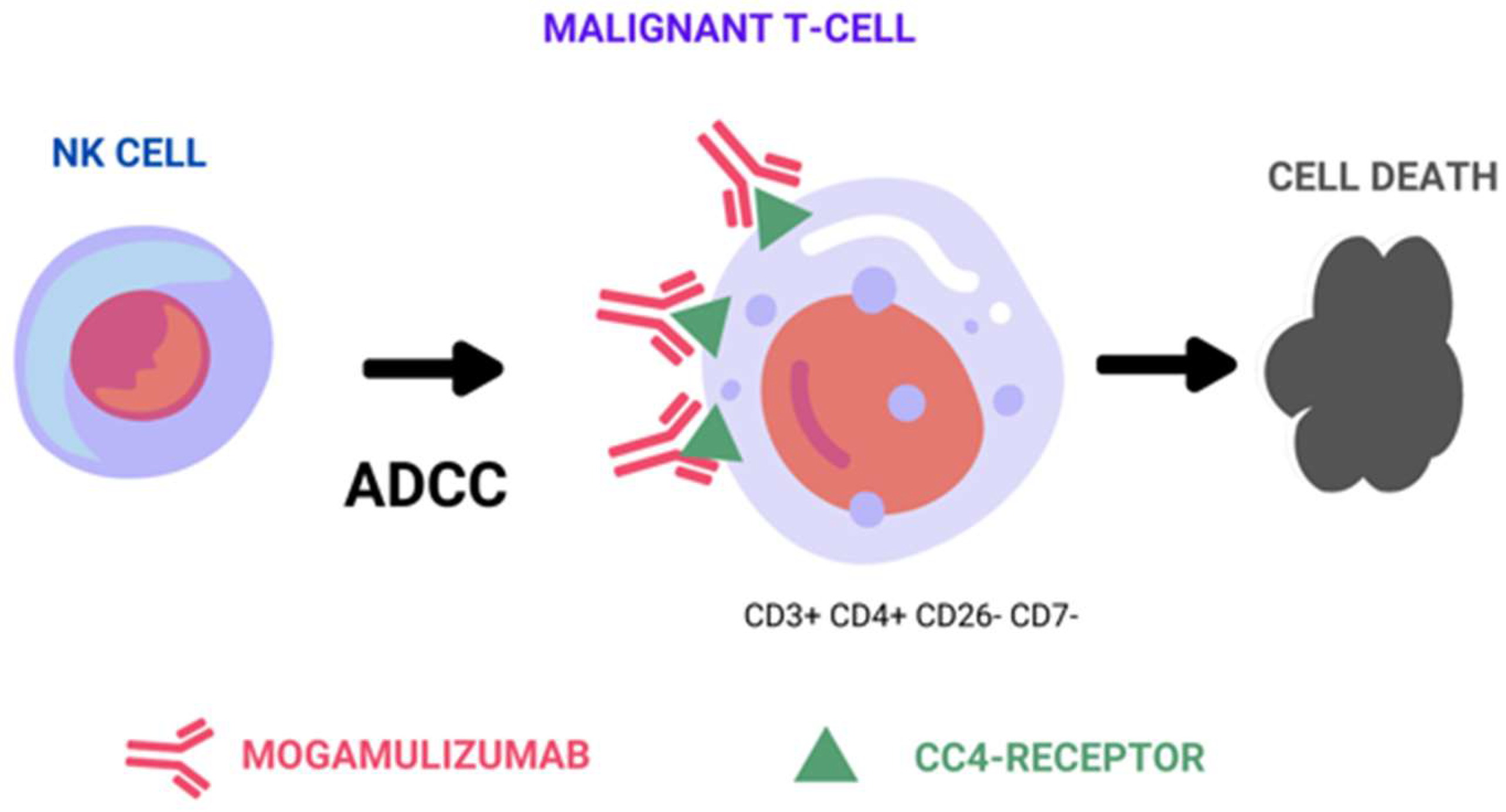 Ijms 25 02203 g001 Ijms 25 02203 g001