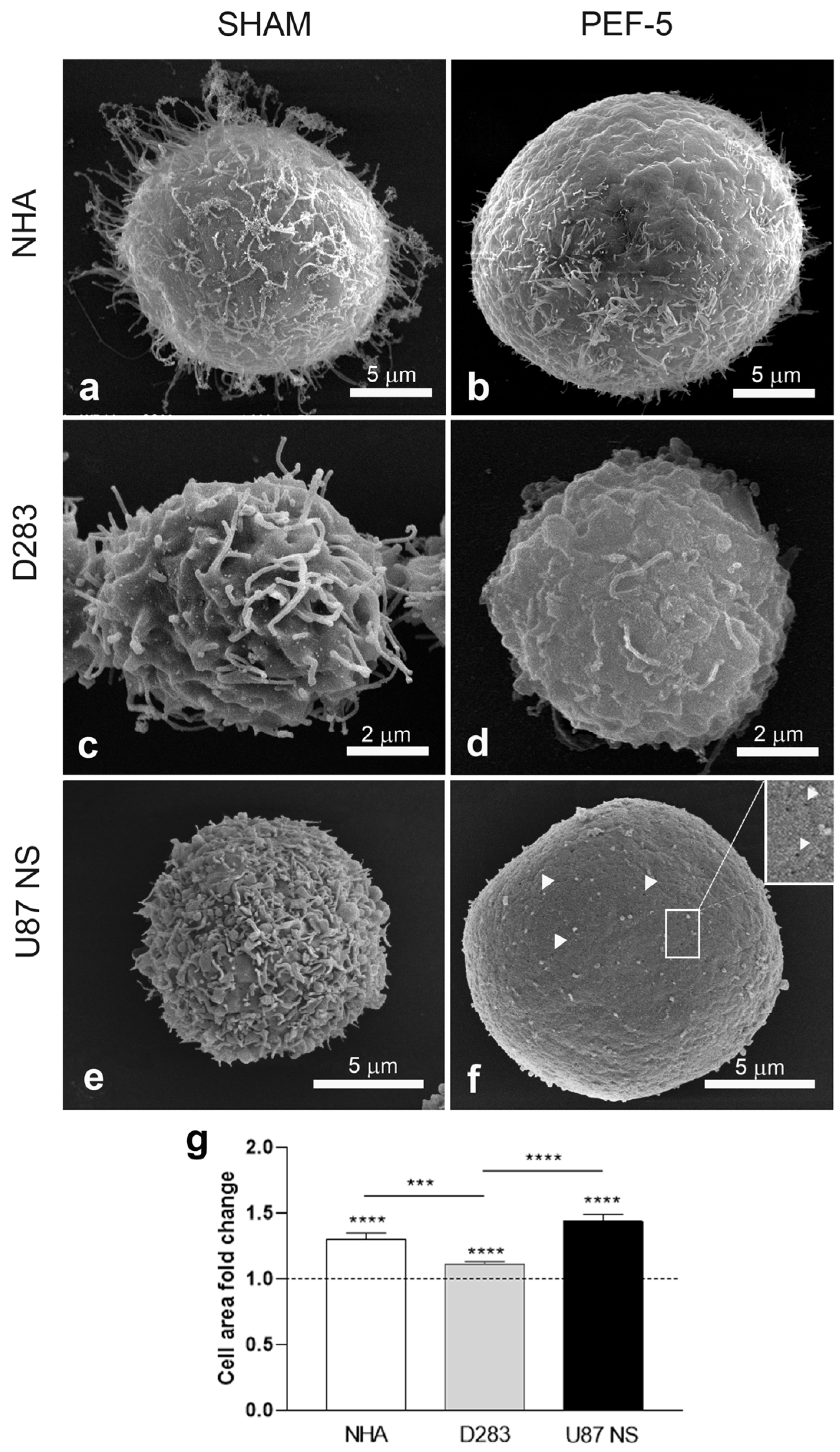 Ijms 25 02233 g001