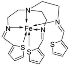 Ijms 25 02263 i009 Ijms 25 02263 i009