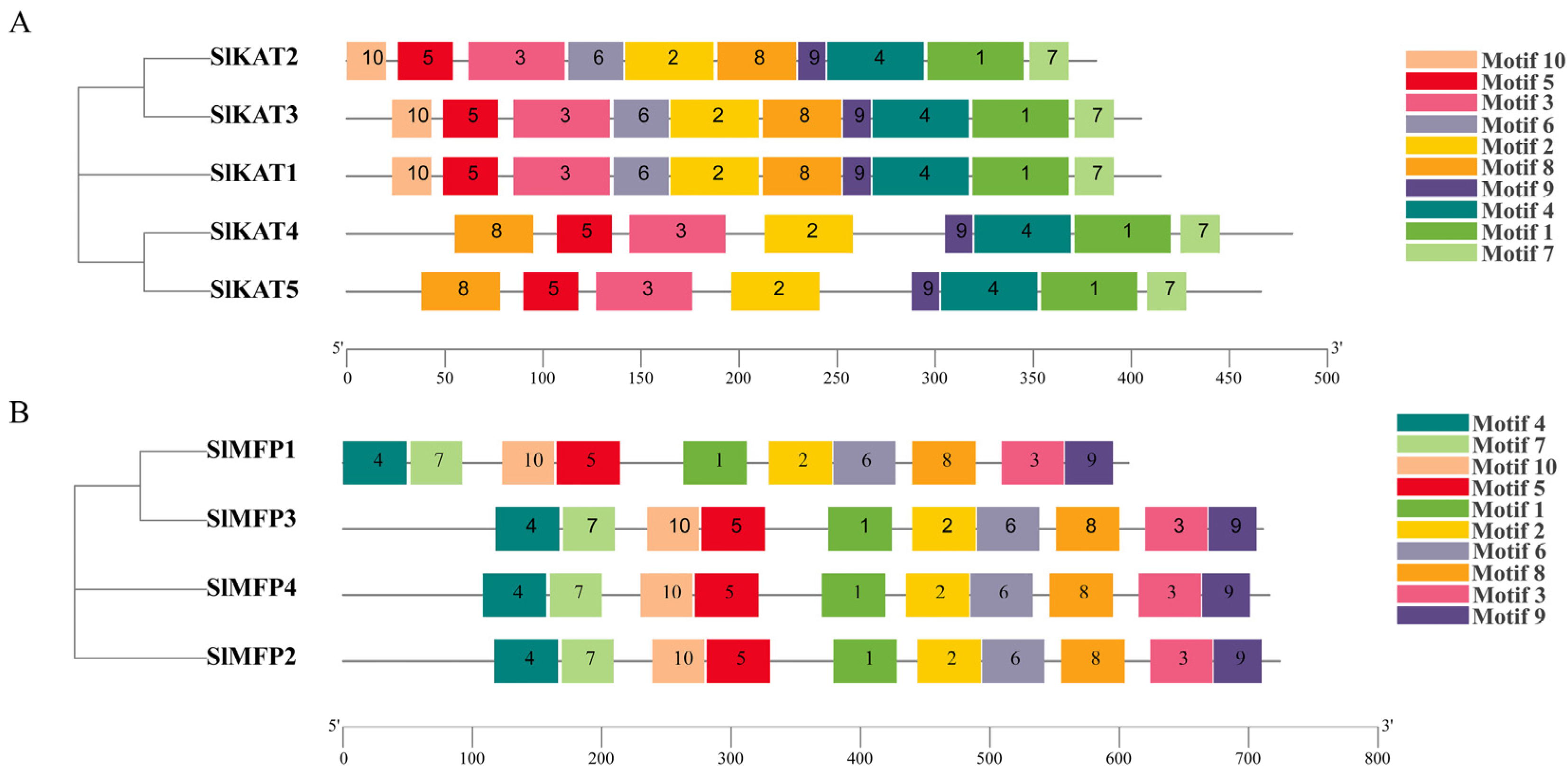 Ijms 25 02273 g002 Ijms 25 02273 g002