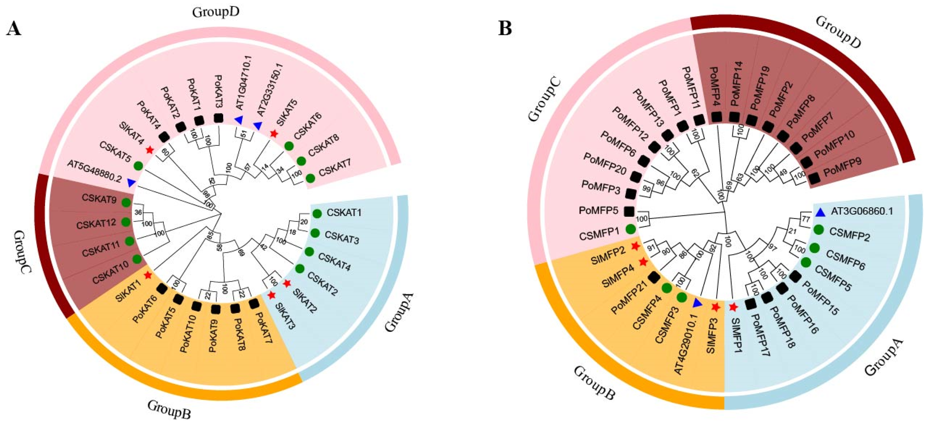 Ijms 25 02273 g003 Ijms 25 02273 g003