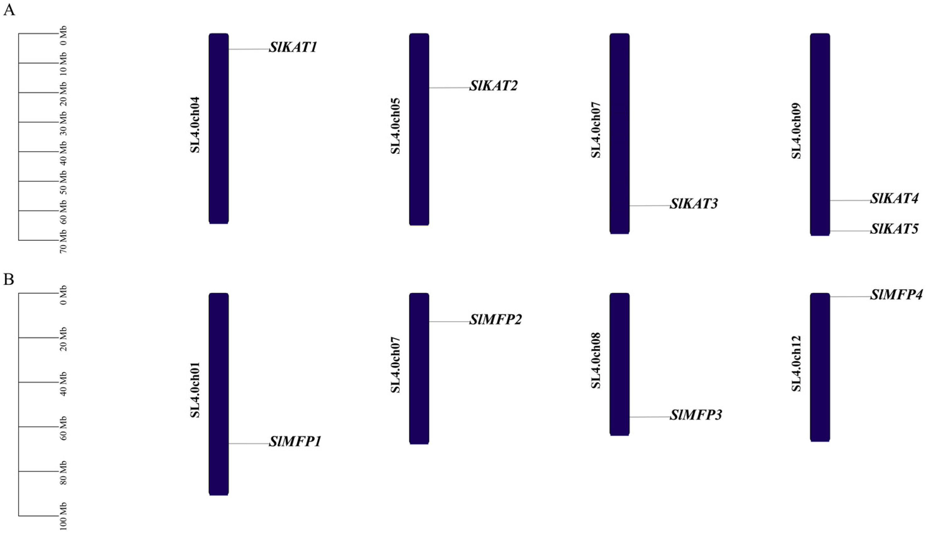 Ijms 25 02273 g004 Ijms 25 02273 g004