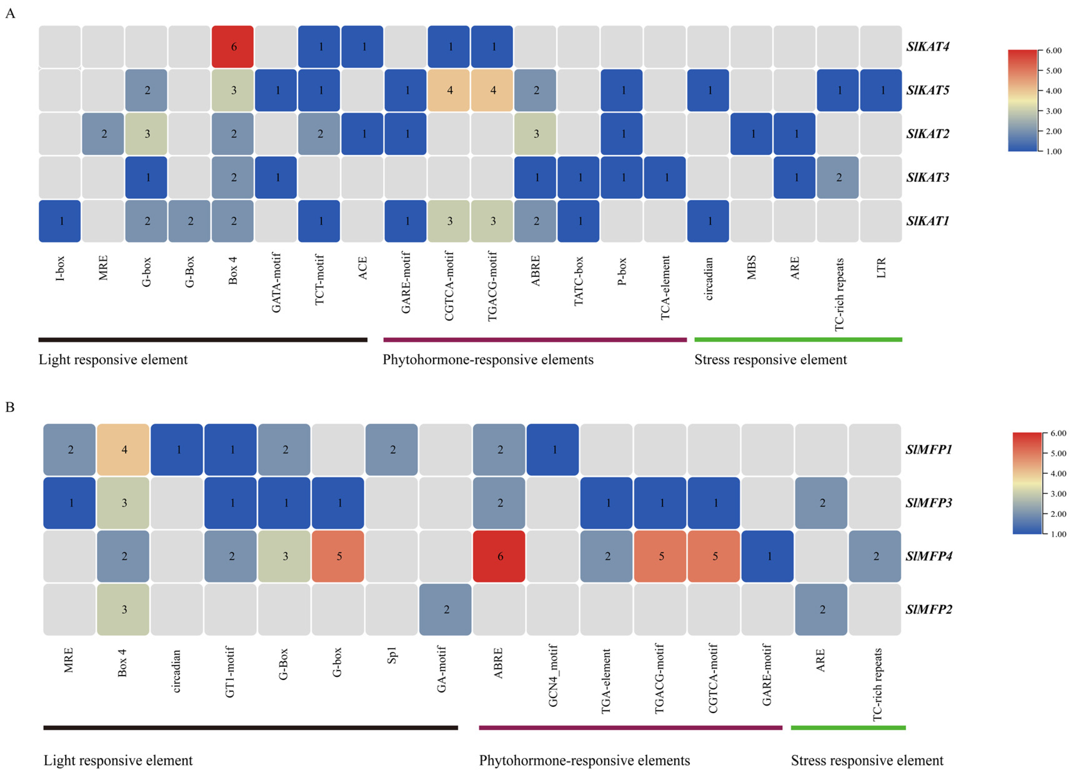 Ijms 25 02273 g006 Ijms 25 02273 g006