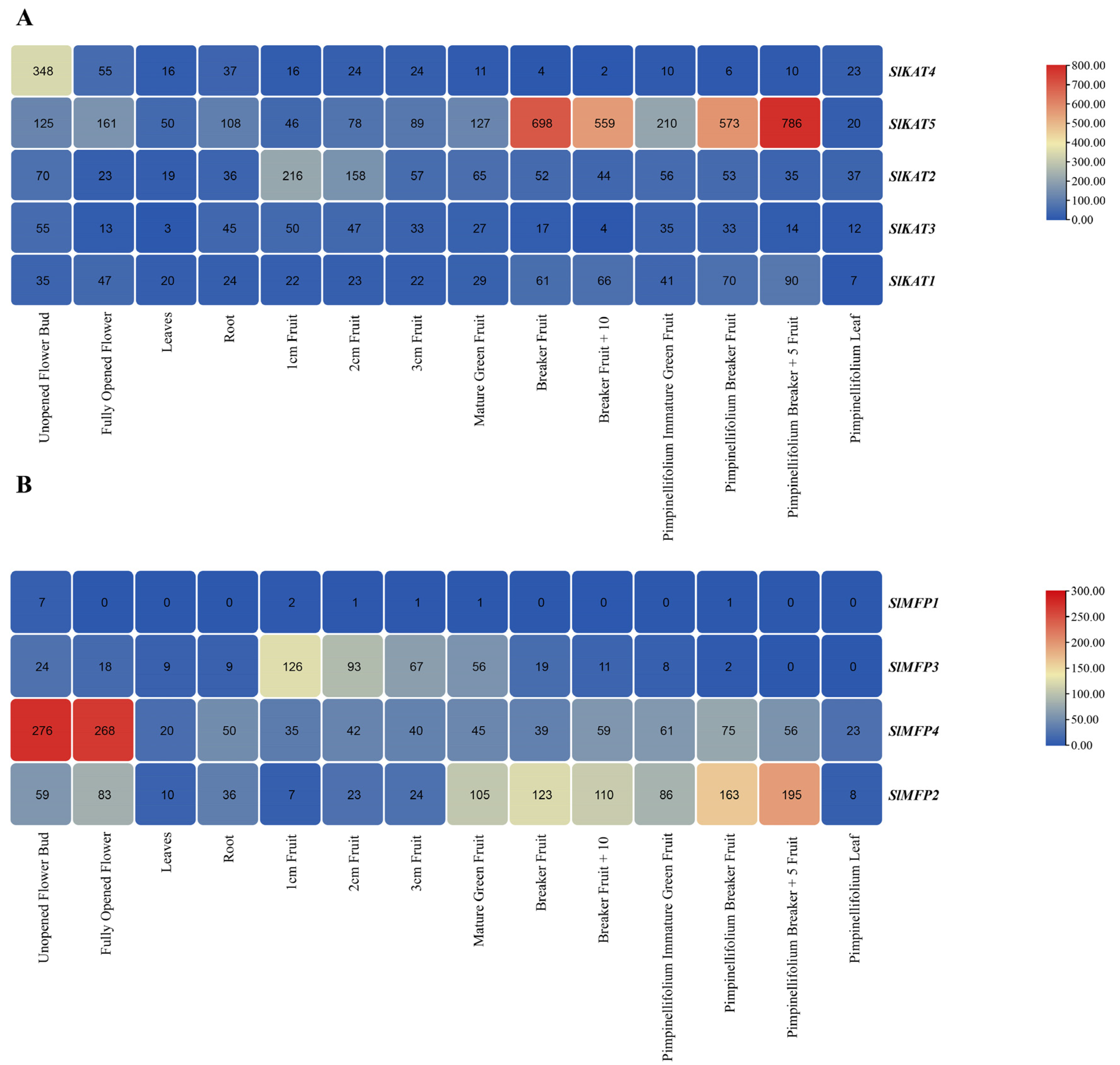 Ijms 25 02273 g007 Ijms 25 02273 g007
