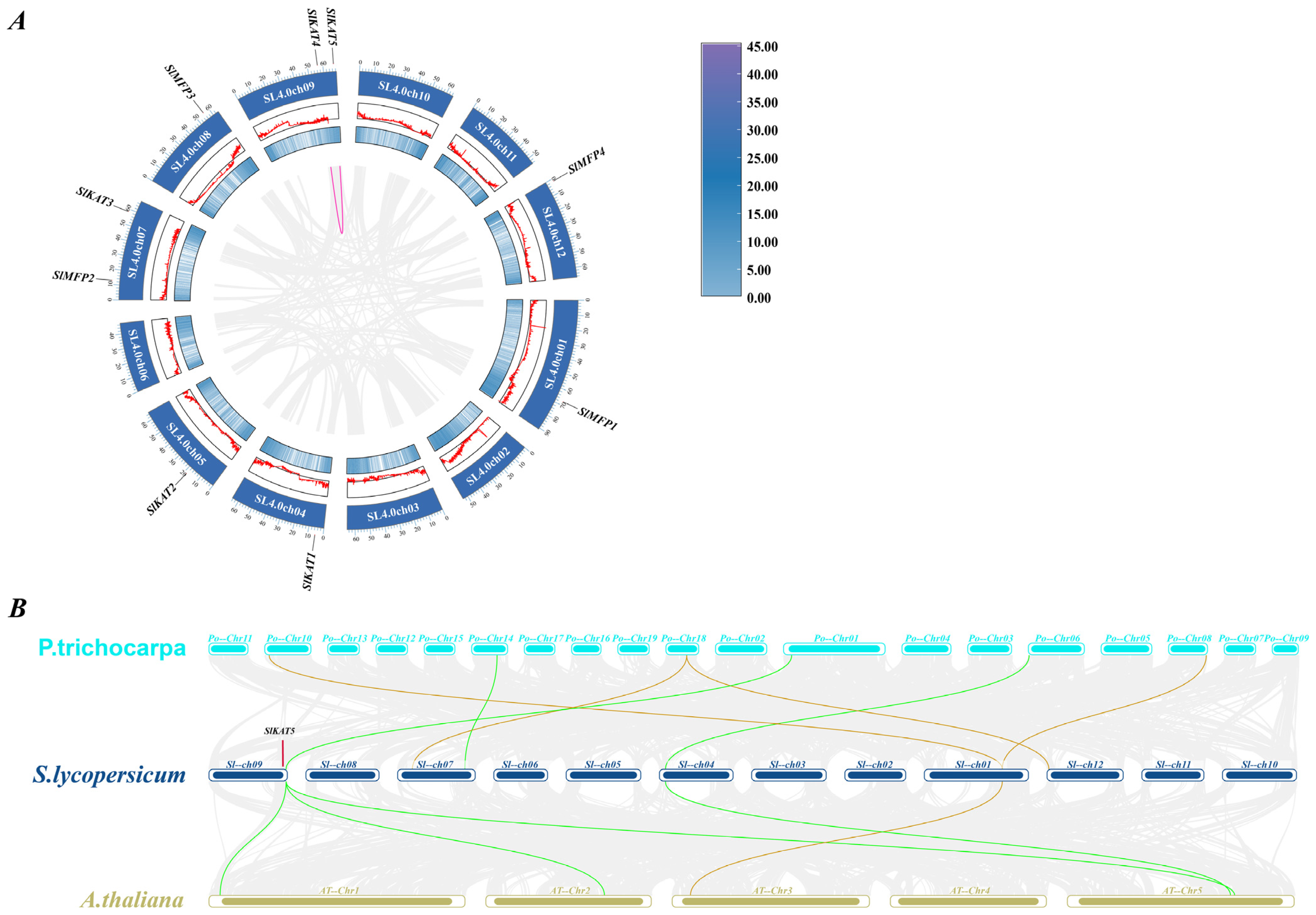 Ijms 25 02273 g008 Ijms 25 02273 g008