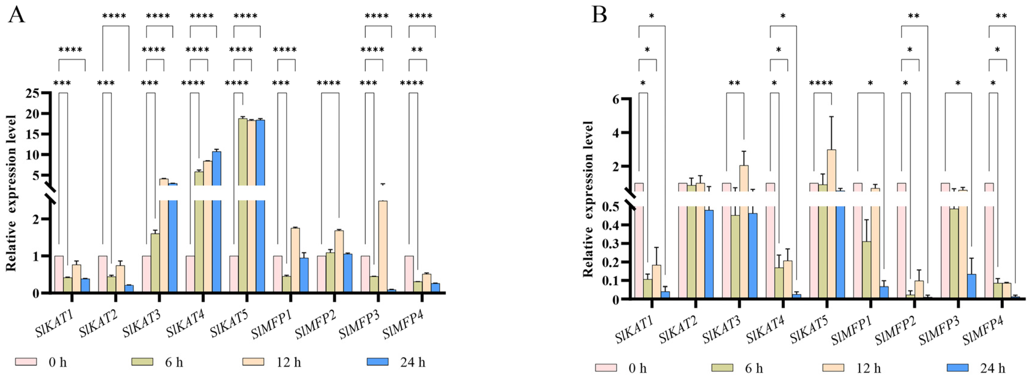 Ijms 25 02273 g010 Ijms 25 02273 g010