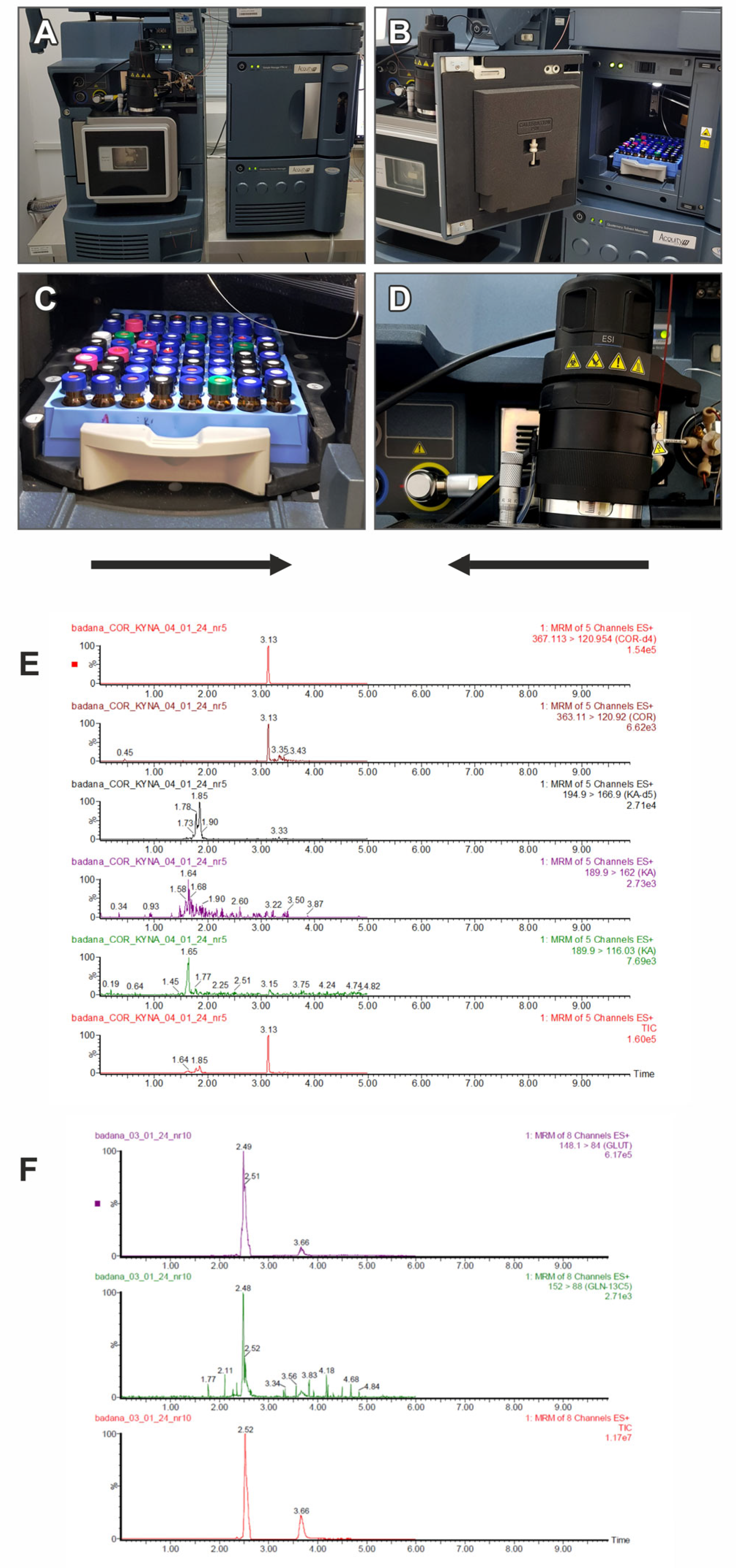 Ijms 25 02294 g002a Ijms 25 02294 g002a