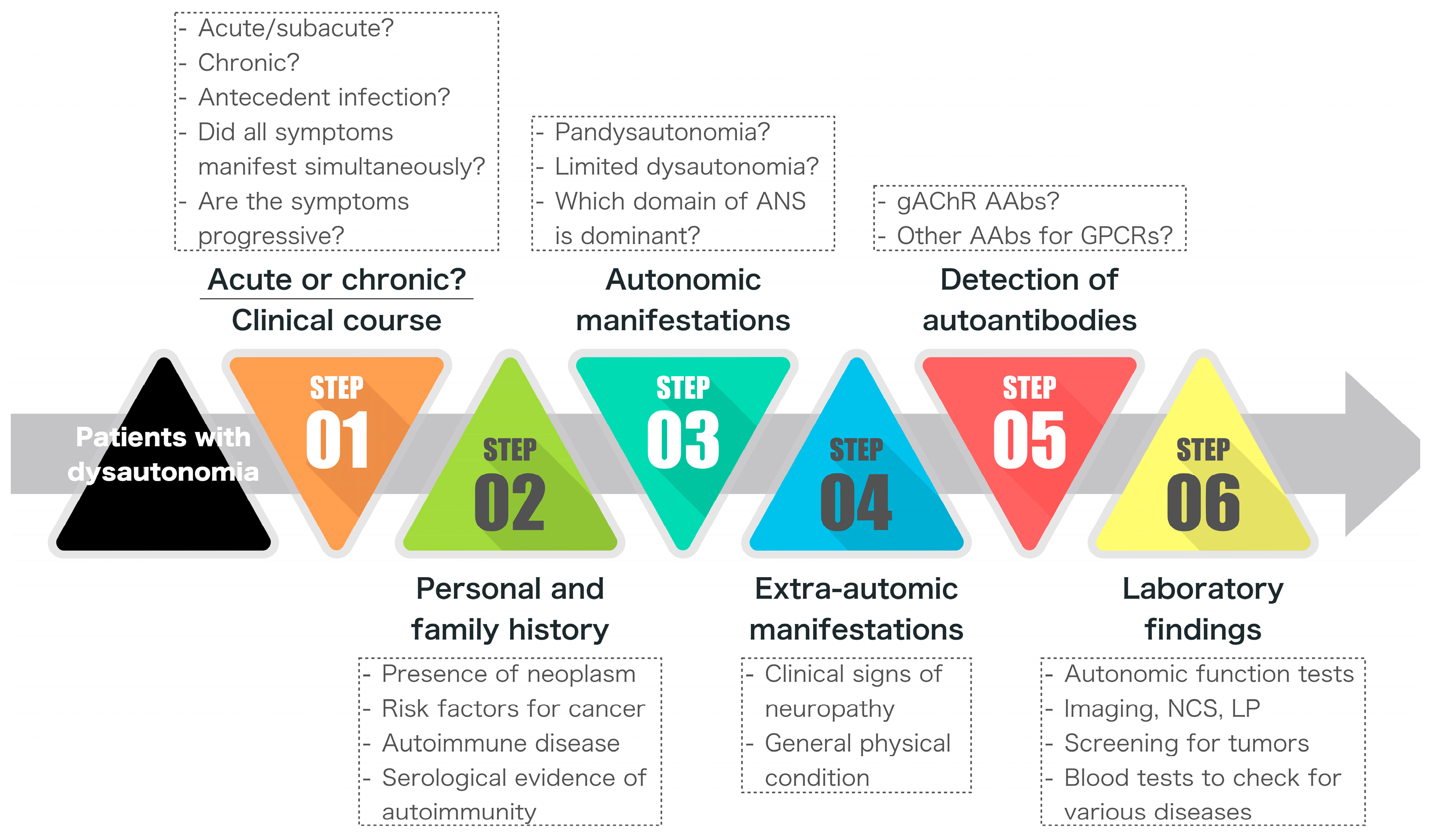 Ijms 25 02296 g001 Ijms 25 02296 g001