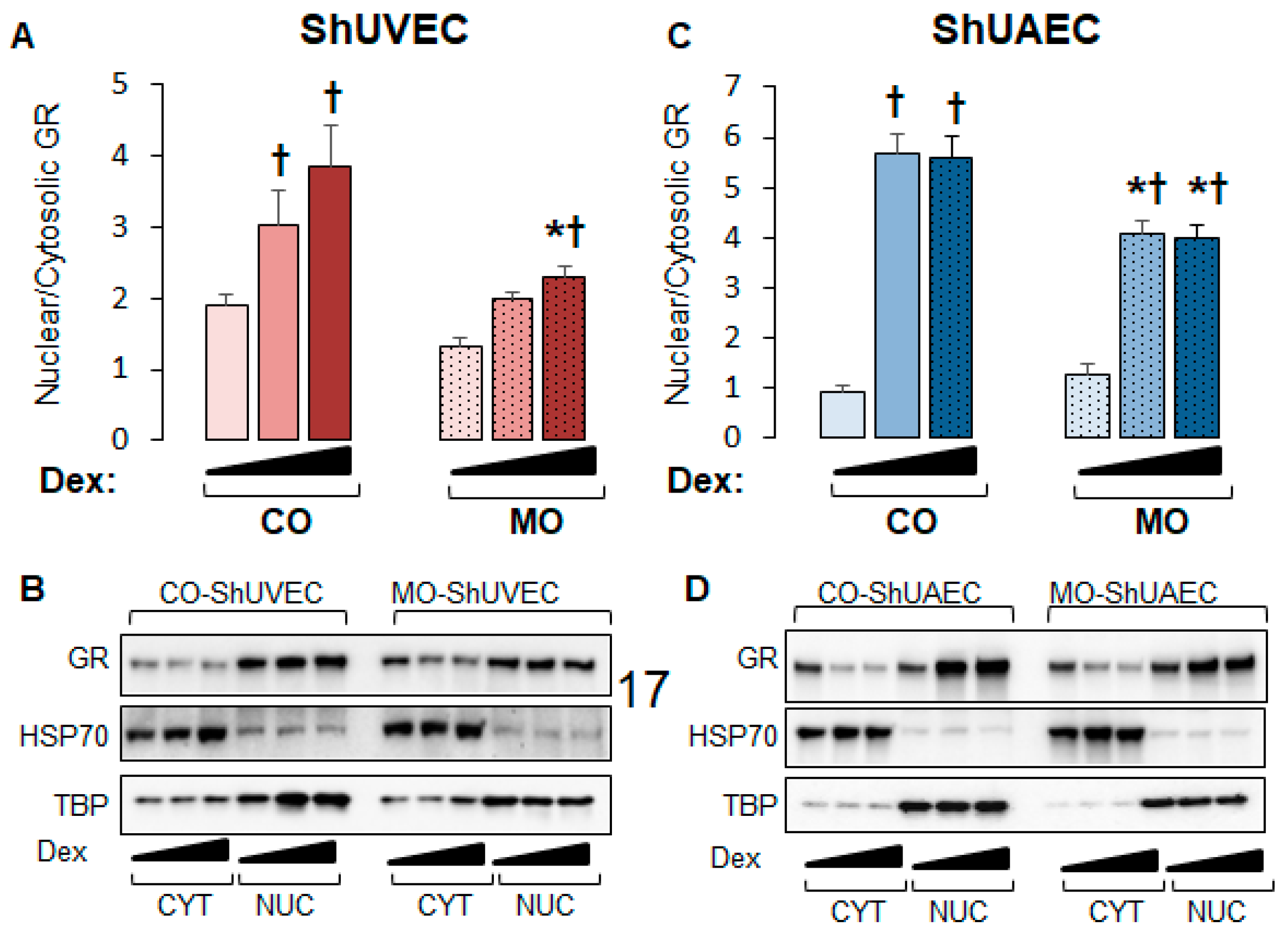 Ijms 25 02311 g004 Ijms 25 02311 g004