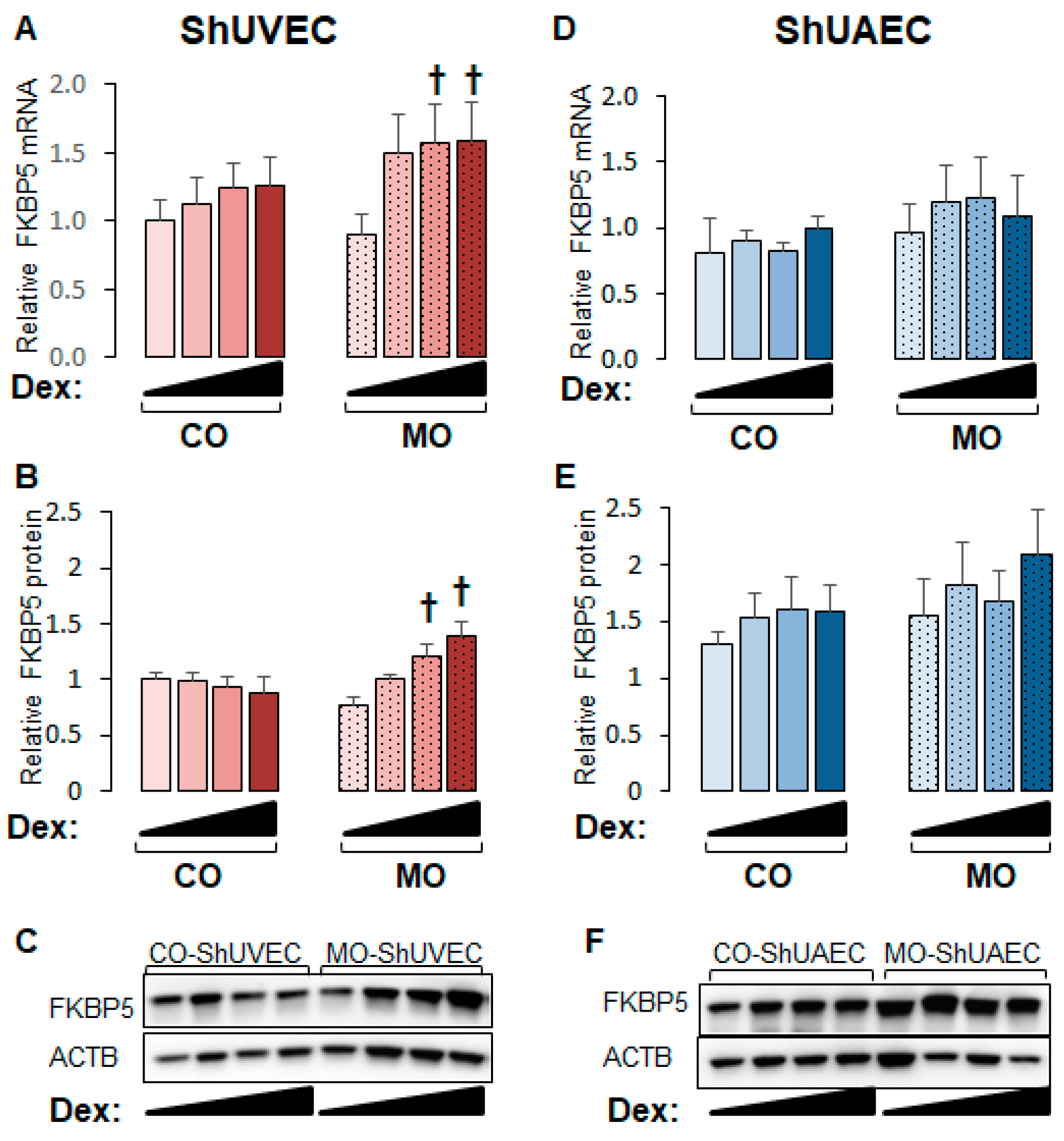 Ijms 25 02311 g005 Ijms 25 02311 g005
