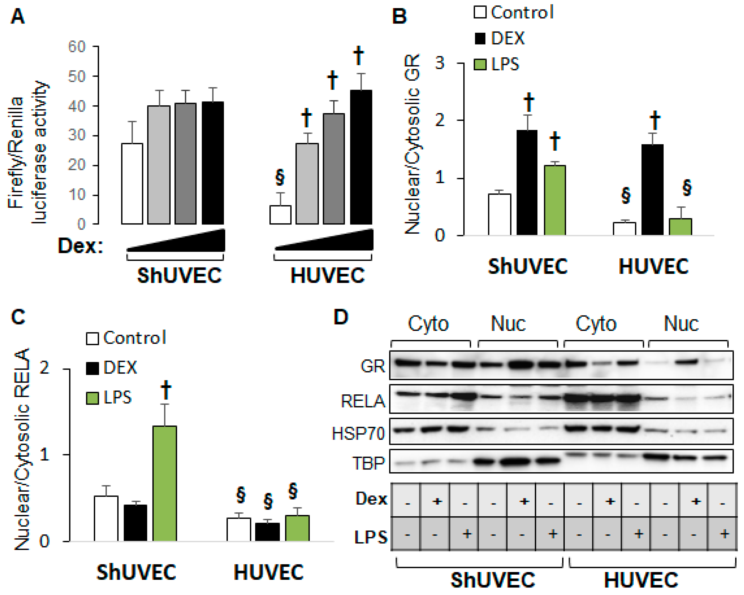 Ijms 25 02311 g006 Ijms 25 02311 g006