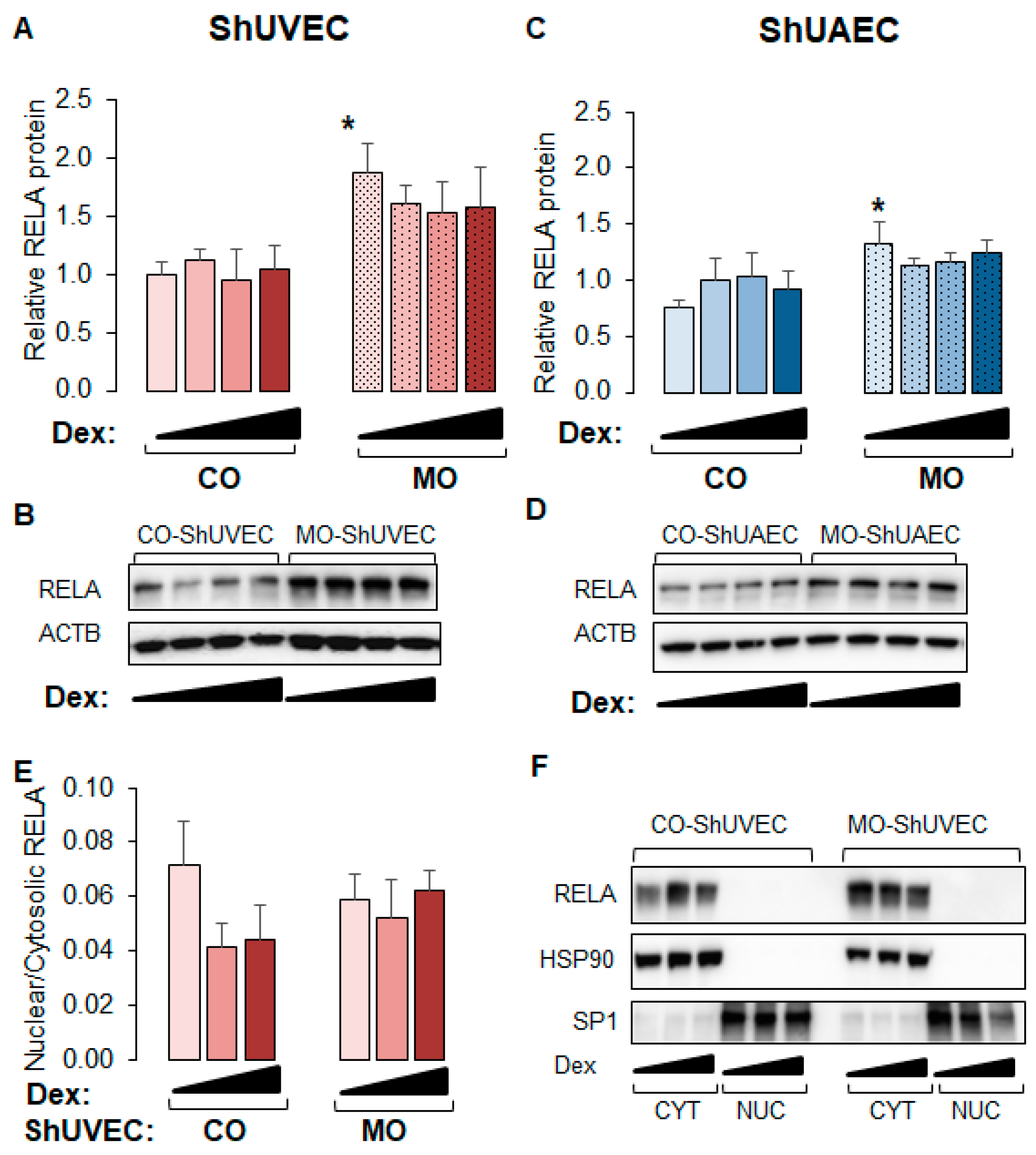Ijms 25 02311 g007 Ijms 25 02311 g007