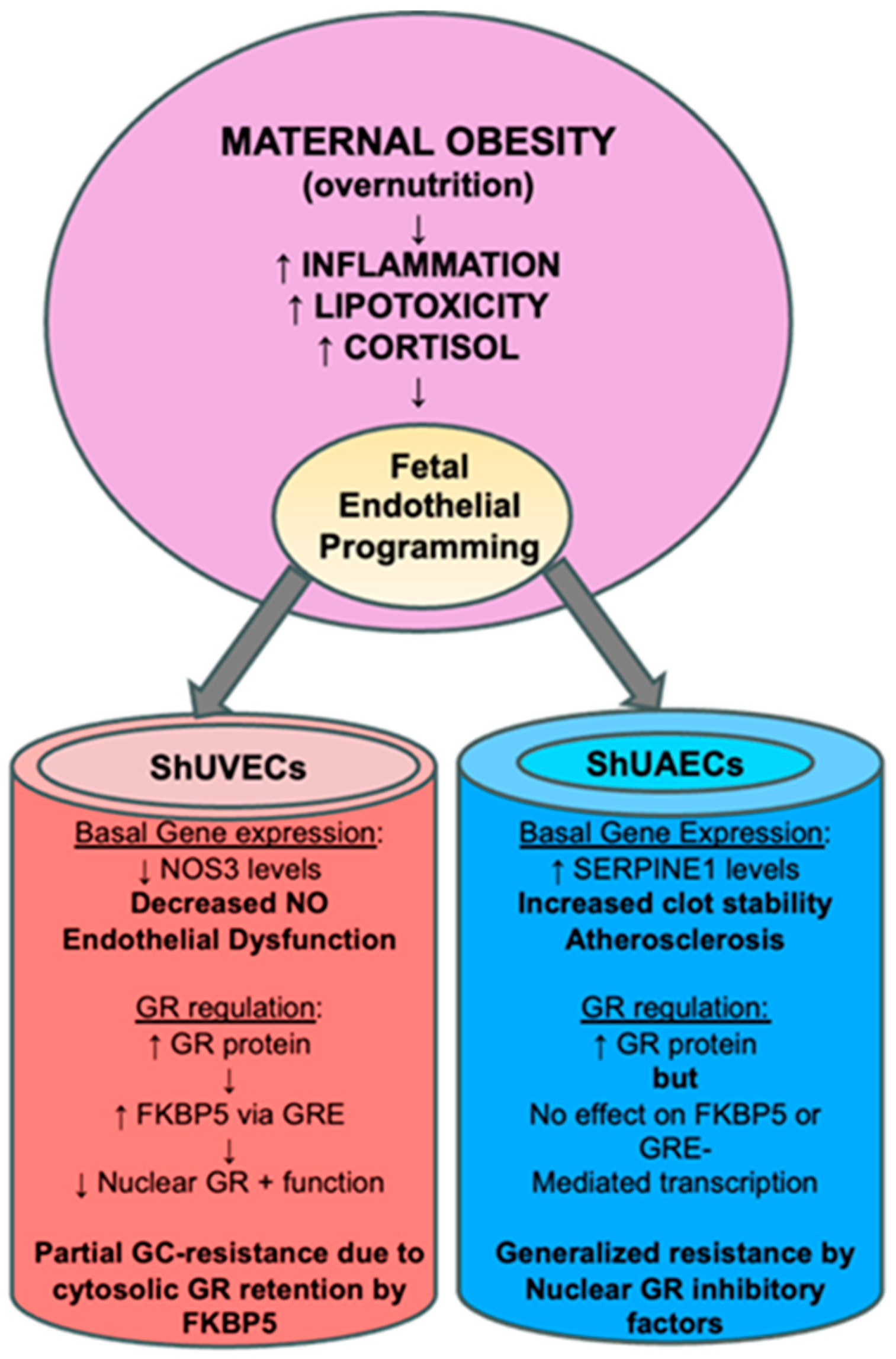Ijms 25 02311 g008 Ijms 25 02311 g008