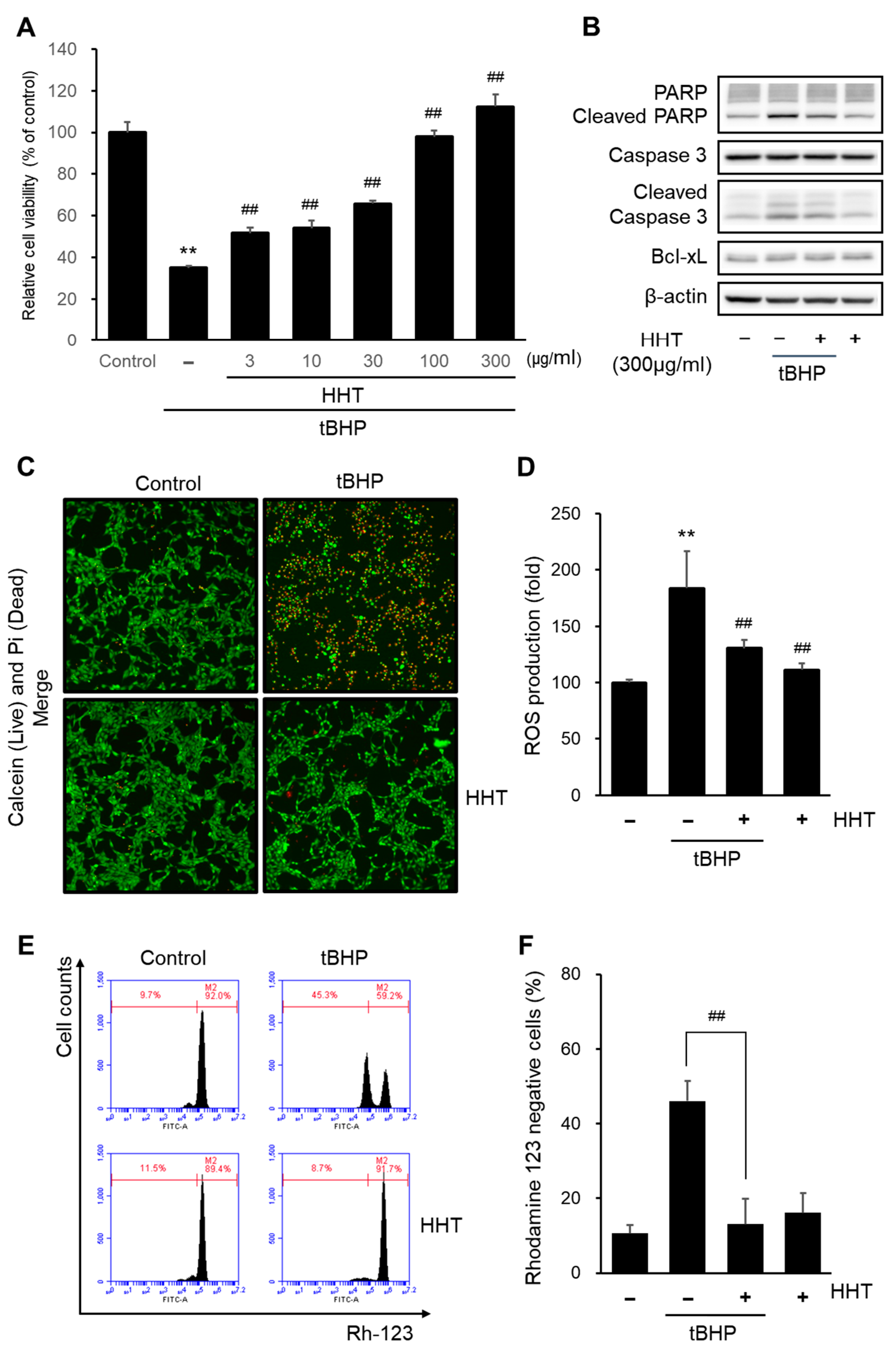Ijms 25 02313 g003 Ijms 25 02313 g003