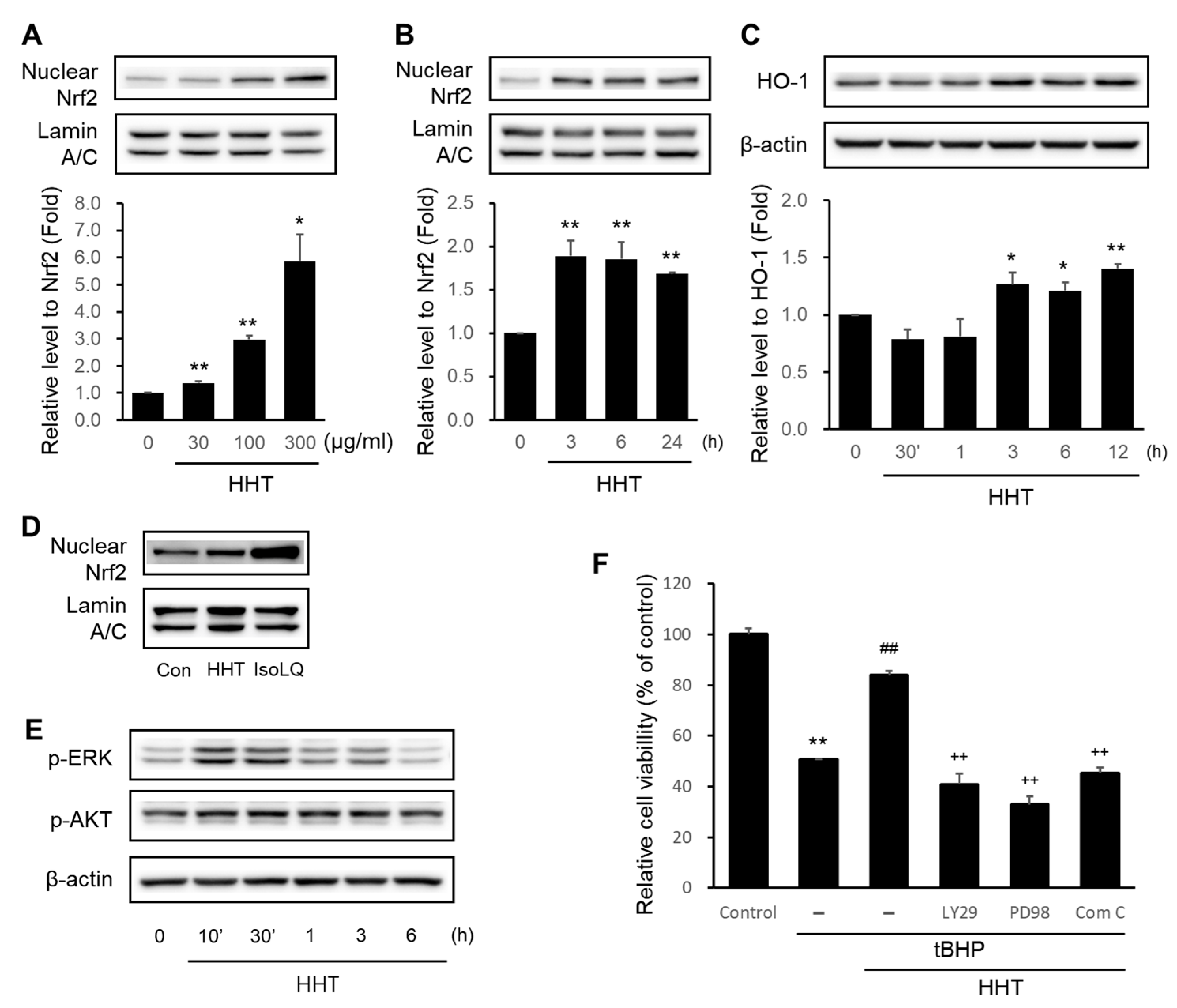 Ijms 25 02313 g004 Ijms 25 02313 g004
