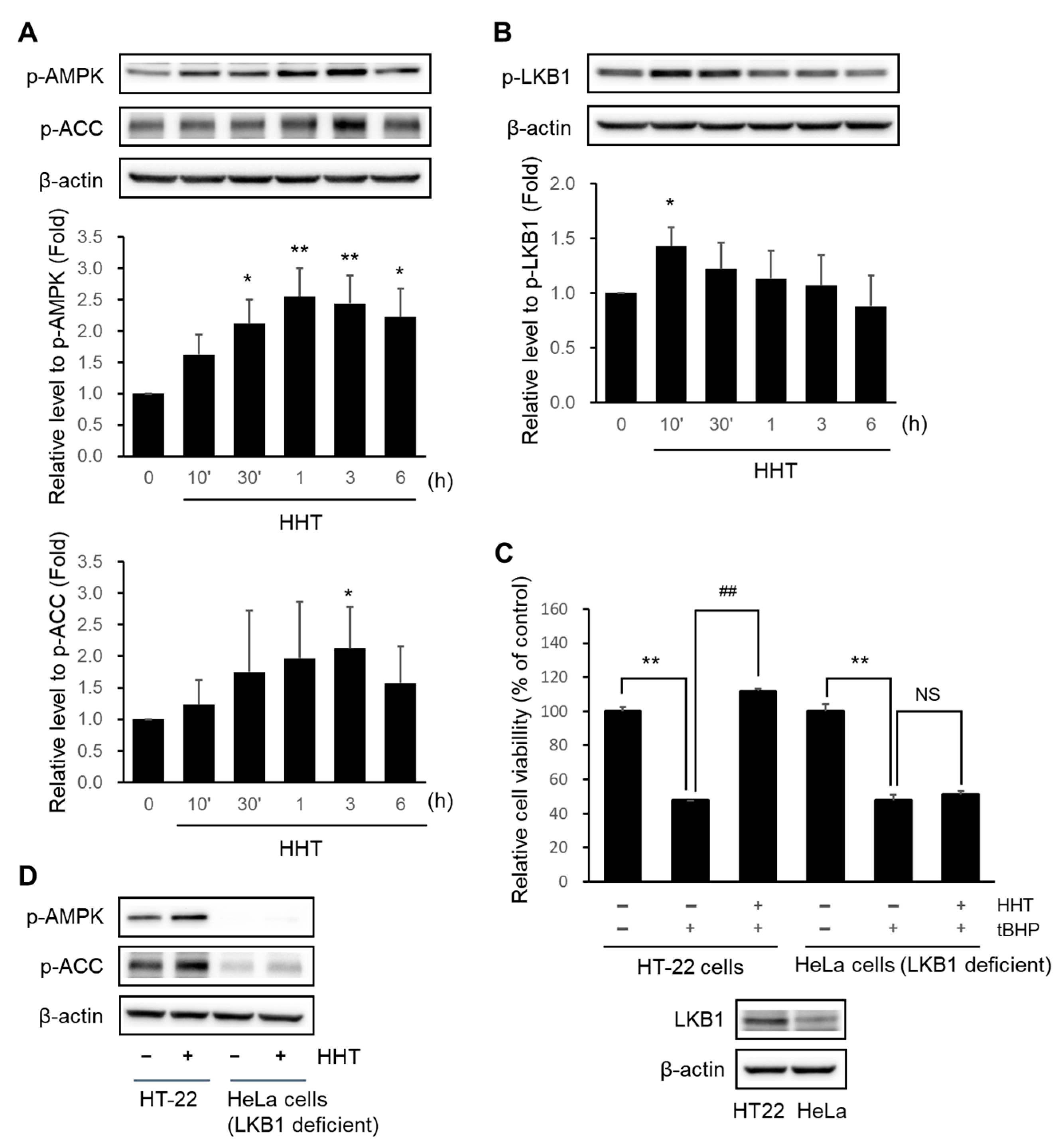 Ijms 25 02313 g005 Ijms 25 02313 g005