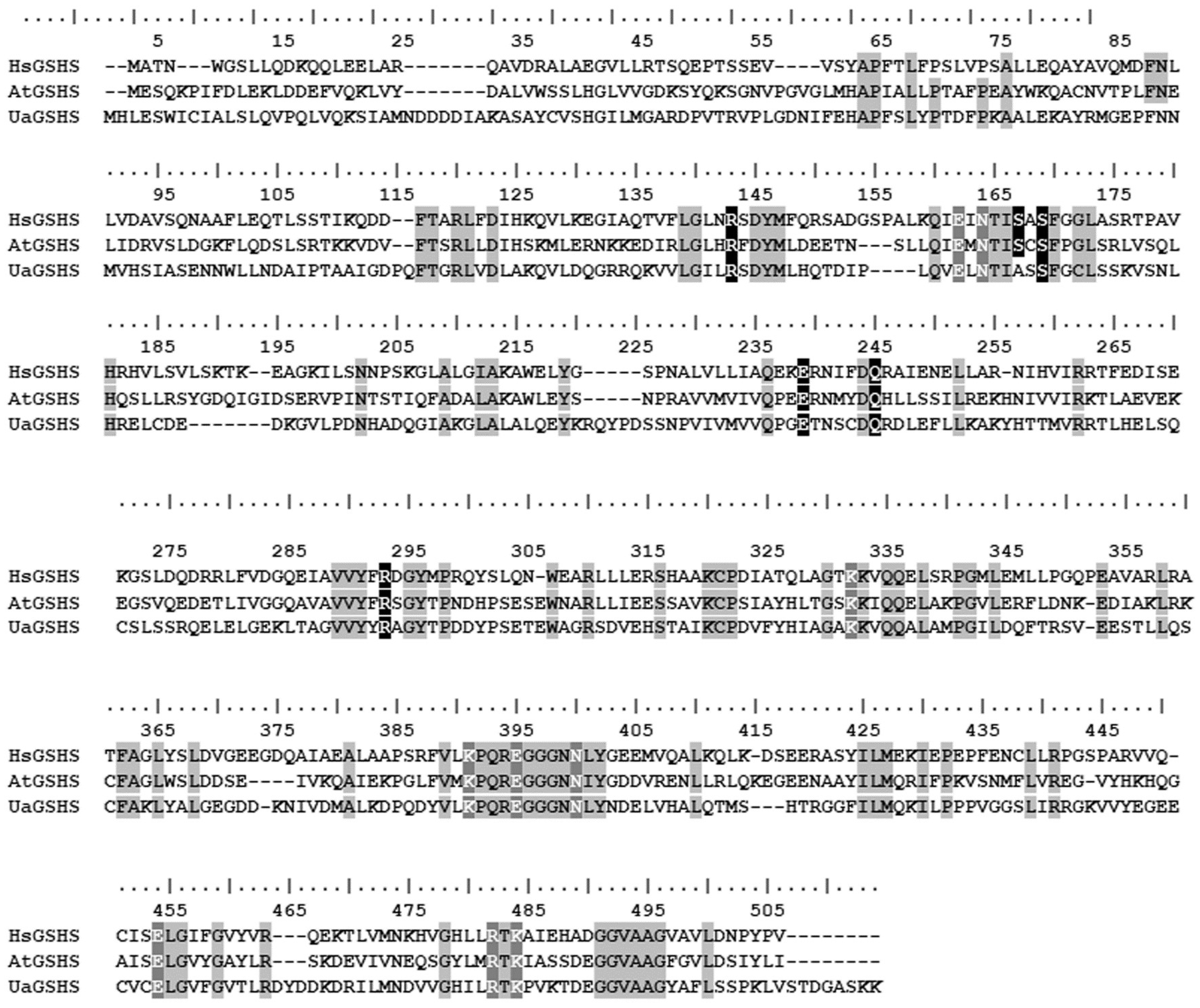 Ijms 25 02314 g004 Ijms 25 02314 g004