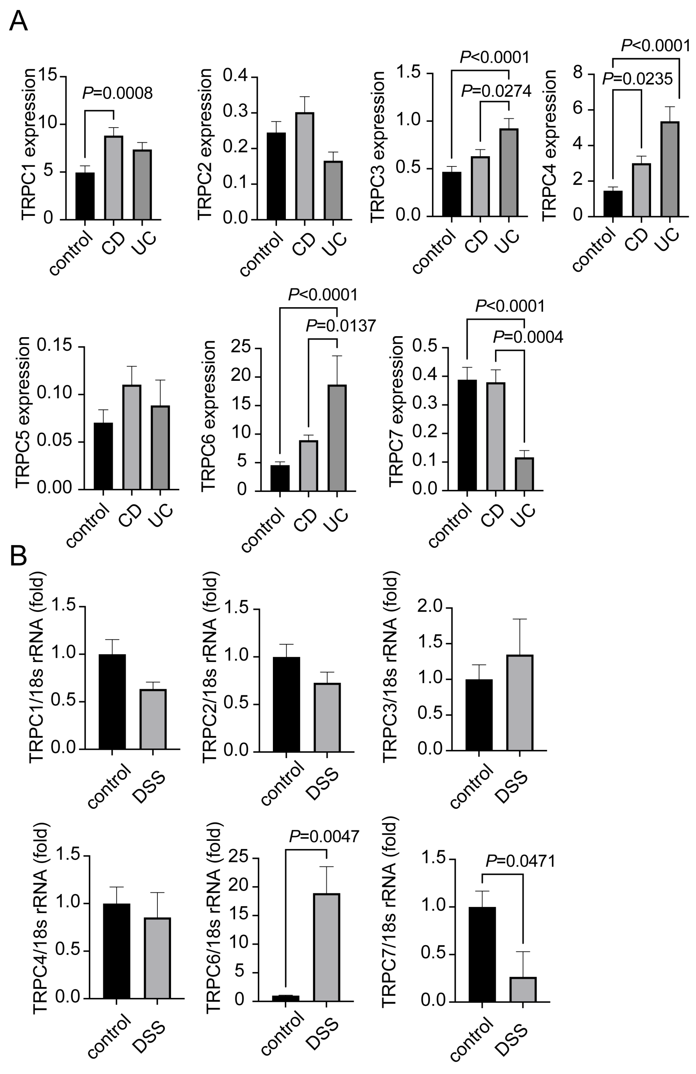 Ijms 25 02401 g001 Ijms 25 02401 g001