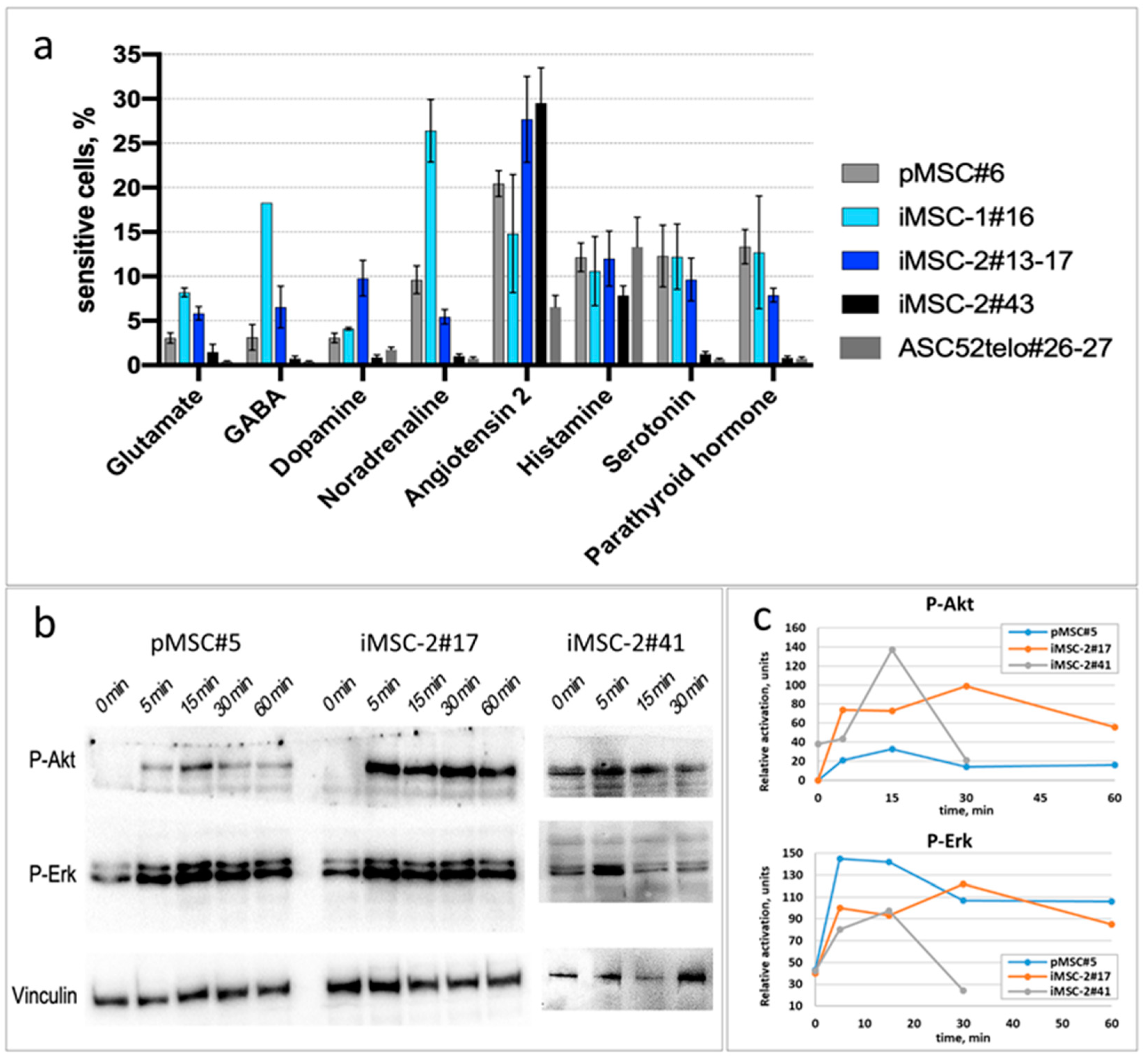 Ijms 25 02421 g006 Ijms 25 02421 g006