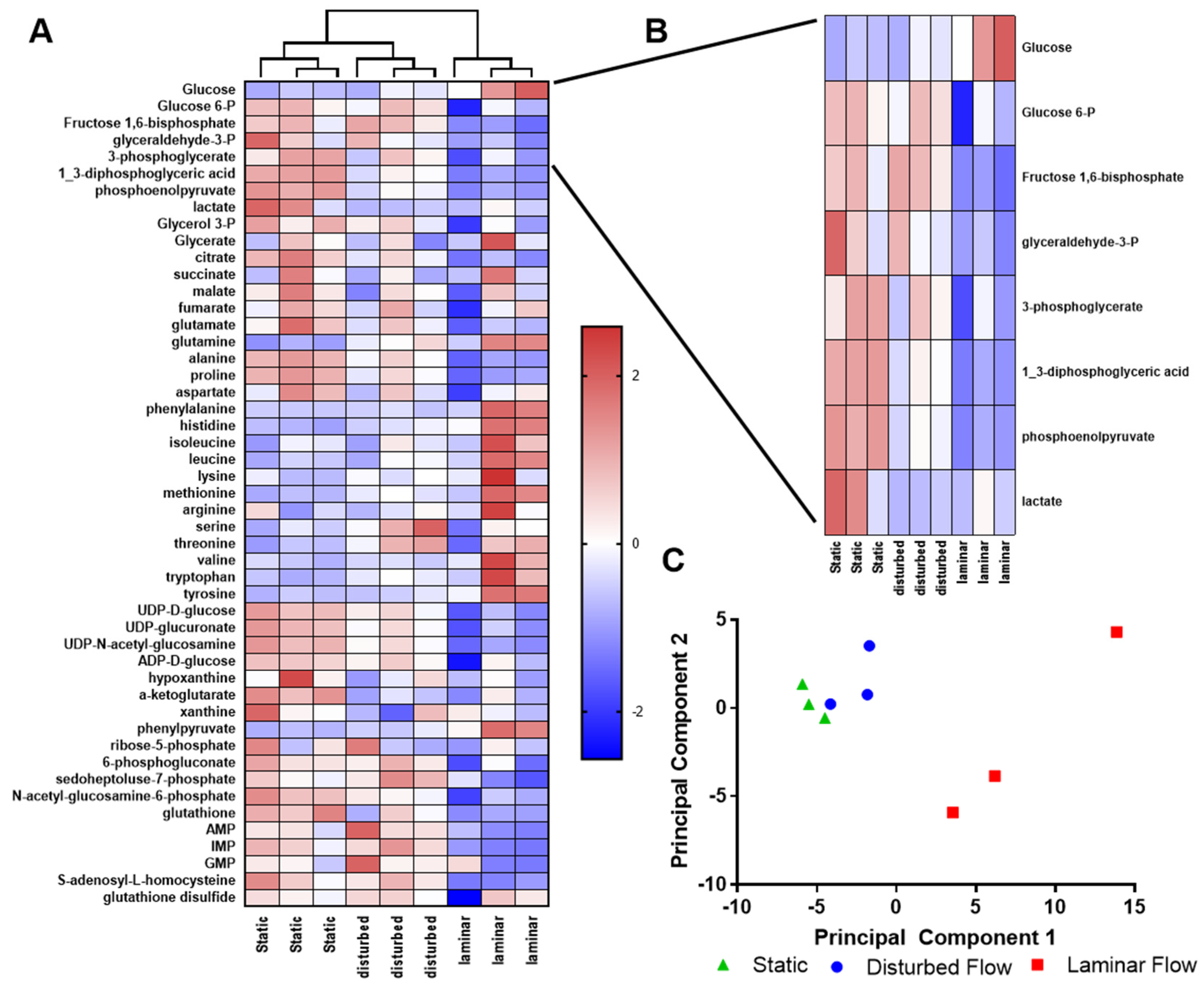 Ijms 25 02485 g003 Ijms 25 02485 g003