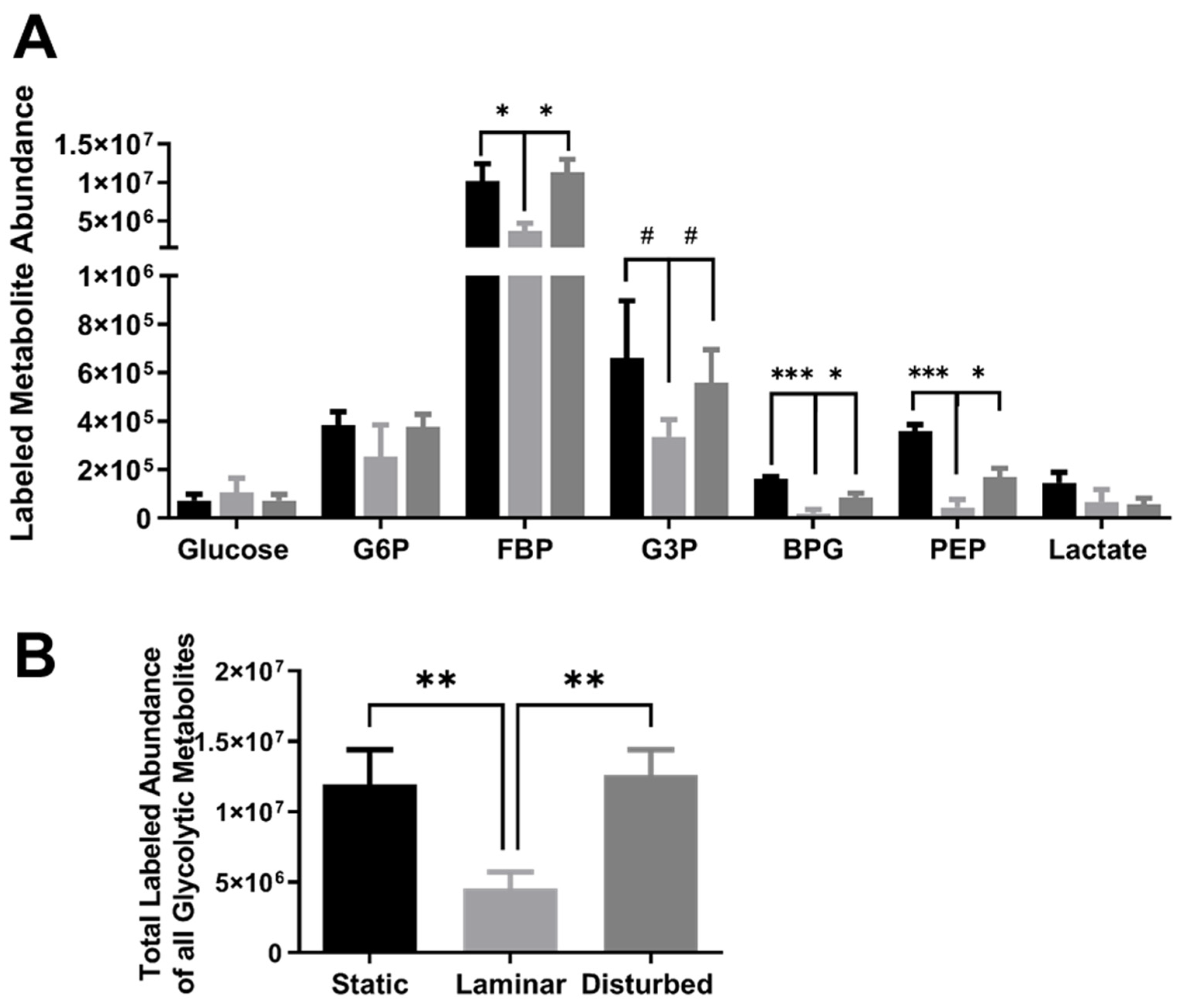 Ijms 25 02485 g005 Ijms 25 02485 g005