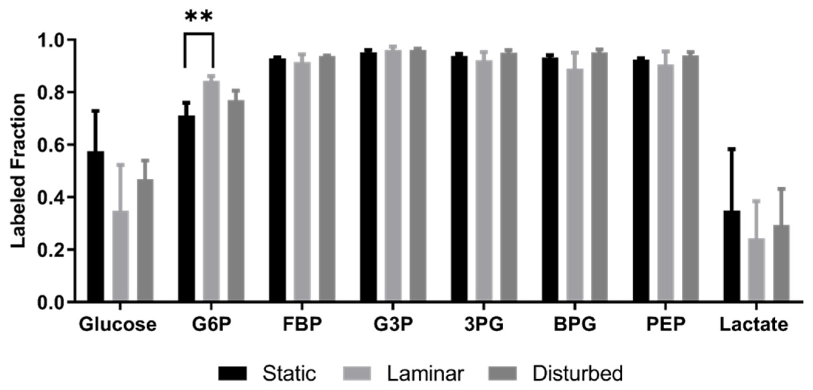 Ijms 25 02485 g006 Ijms 25 02485 g006