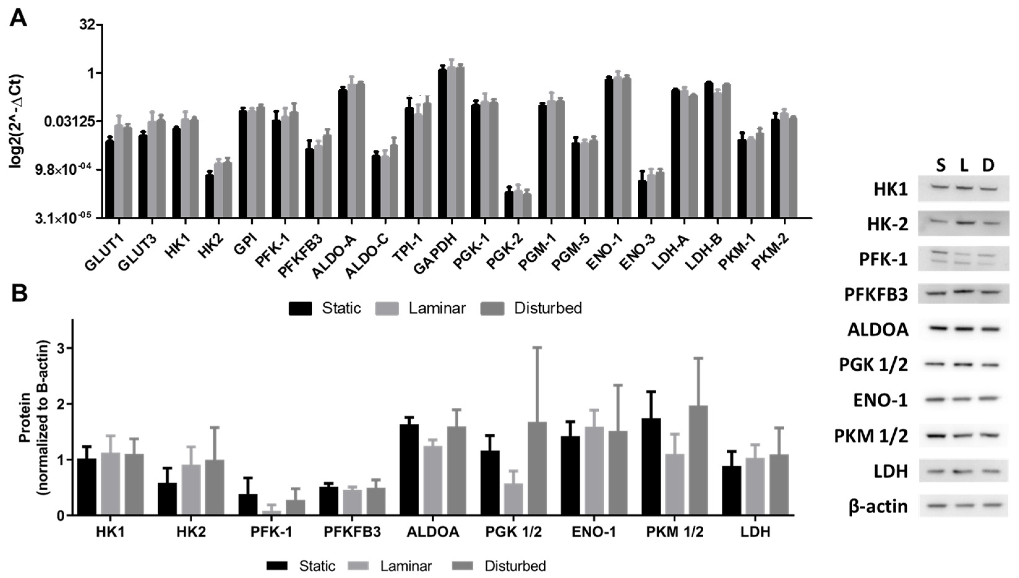 Ijms 25 02485 g007 Ijms 25 02485 g007