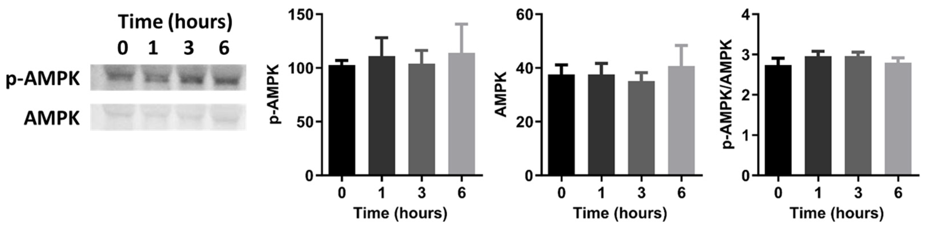 Ijms 25 02485 g008 Ijms 25 02485 g008