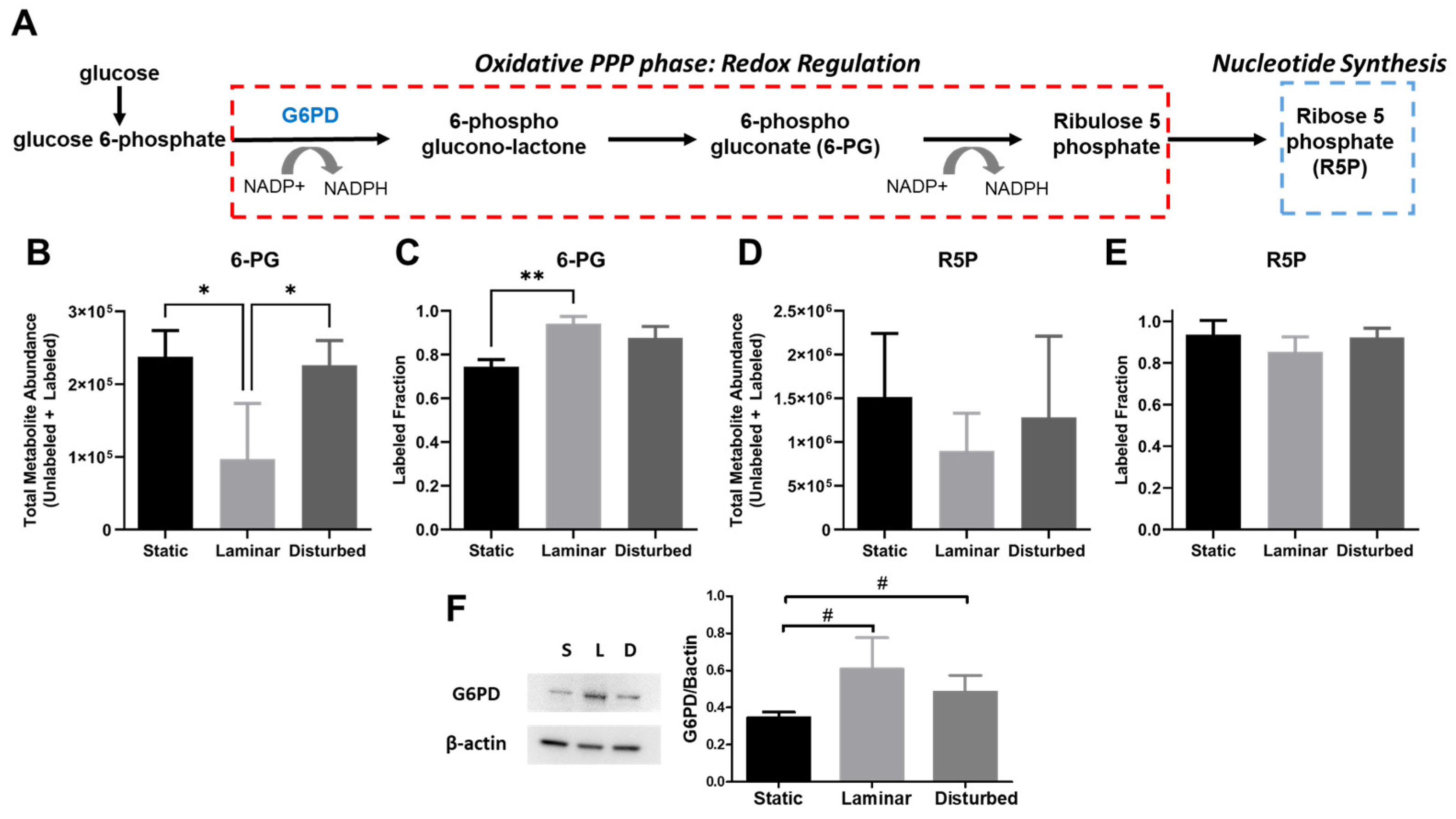 Ijms 25 02485 g010 Ijms 25 02485 g010