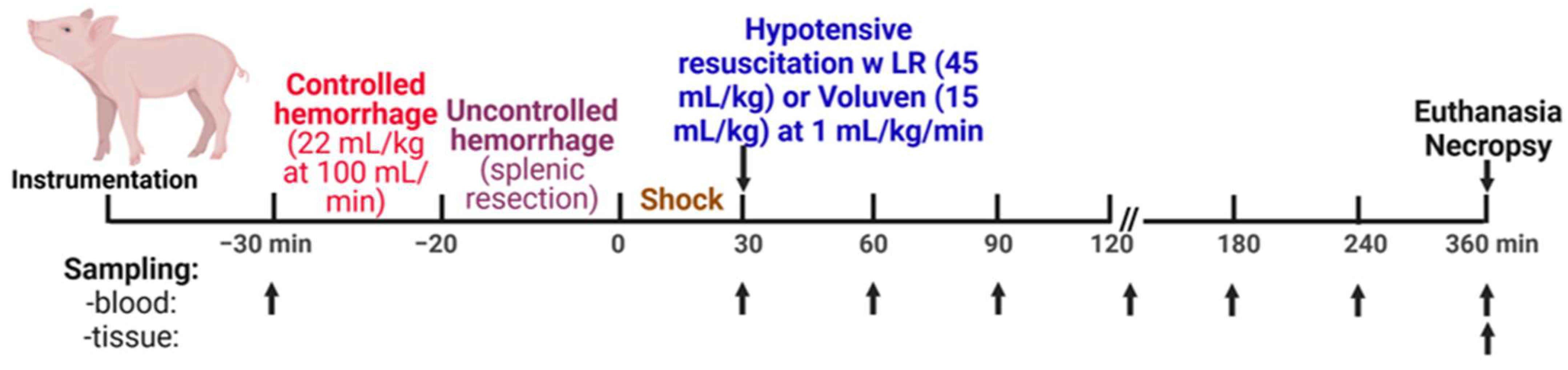 Ijms 25 02500 g009 Ijms 25 02500 g009