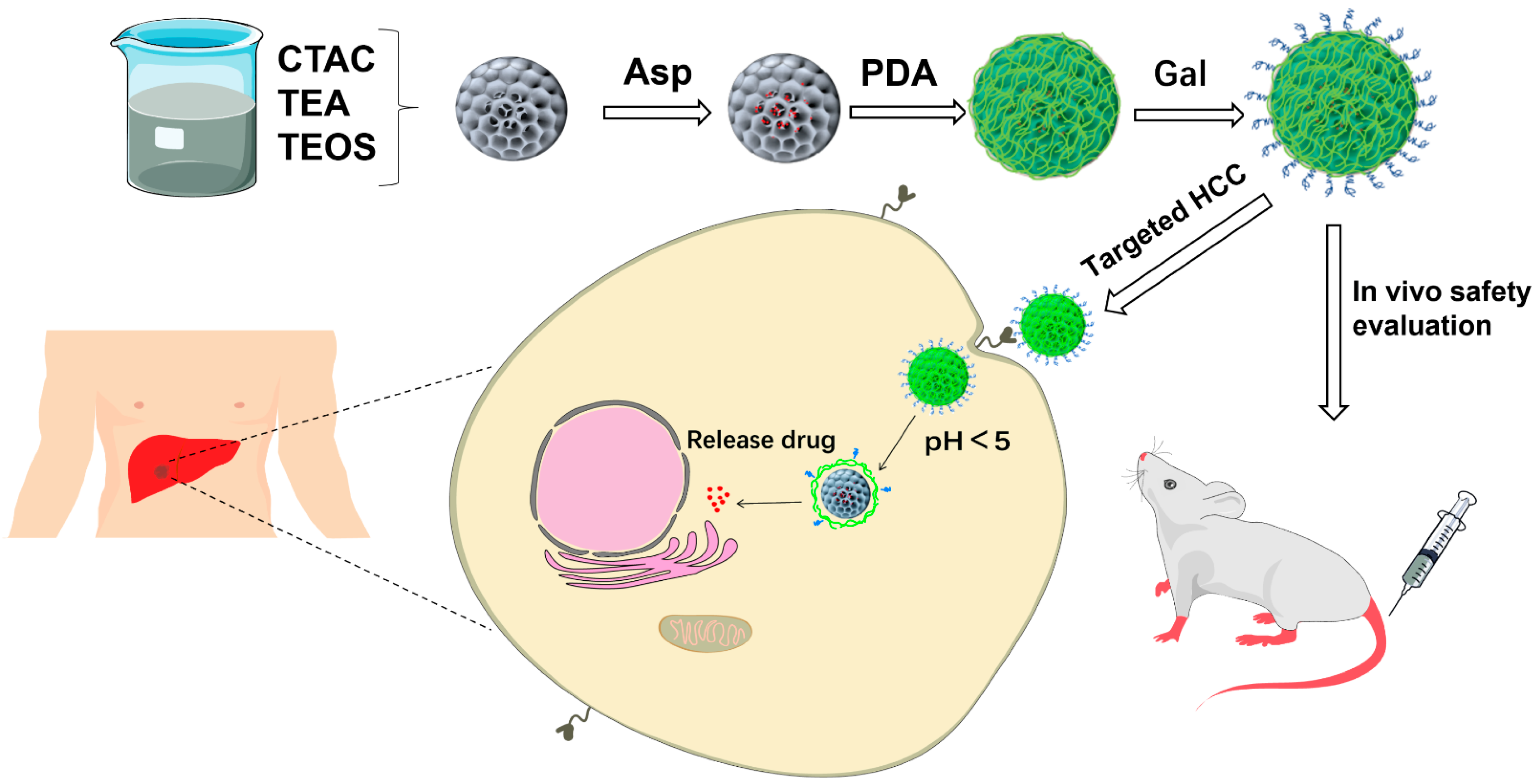 Ijms 25 02525 sch002