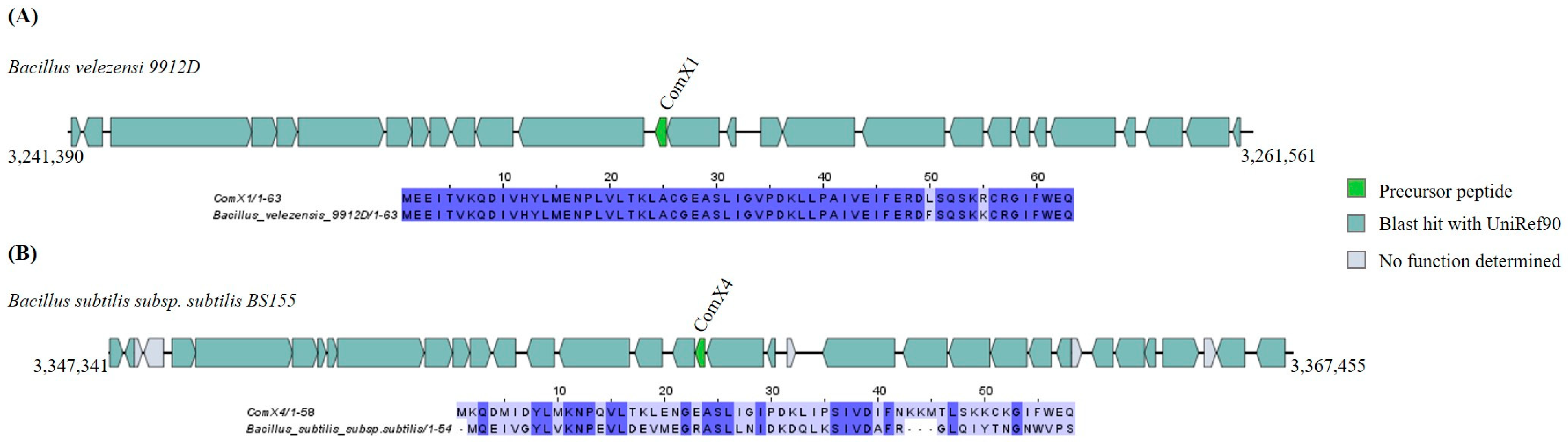 Ijms 25 02566 g008 Ijms 25 02566 g008