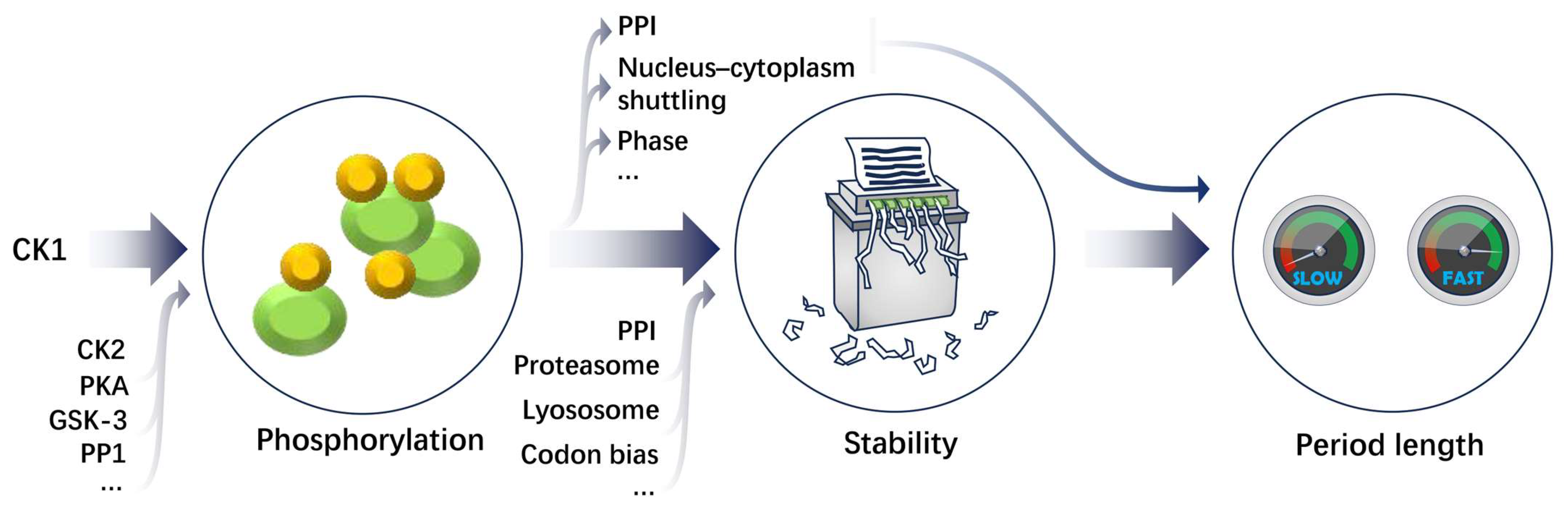 Ijms 25 02574 g003 Ijms 25 02574 g003