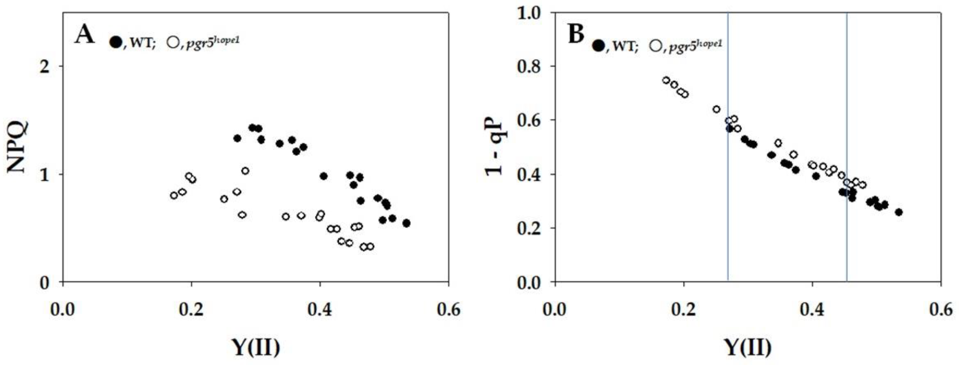 Ijms 25 02677 g003 Ijms 25 02677 g003