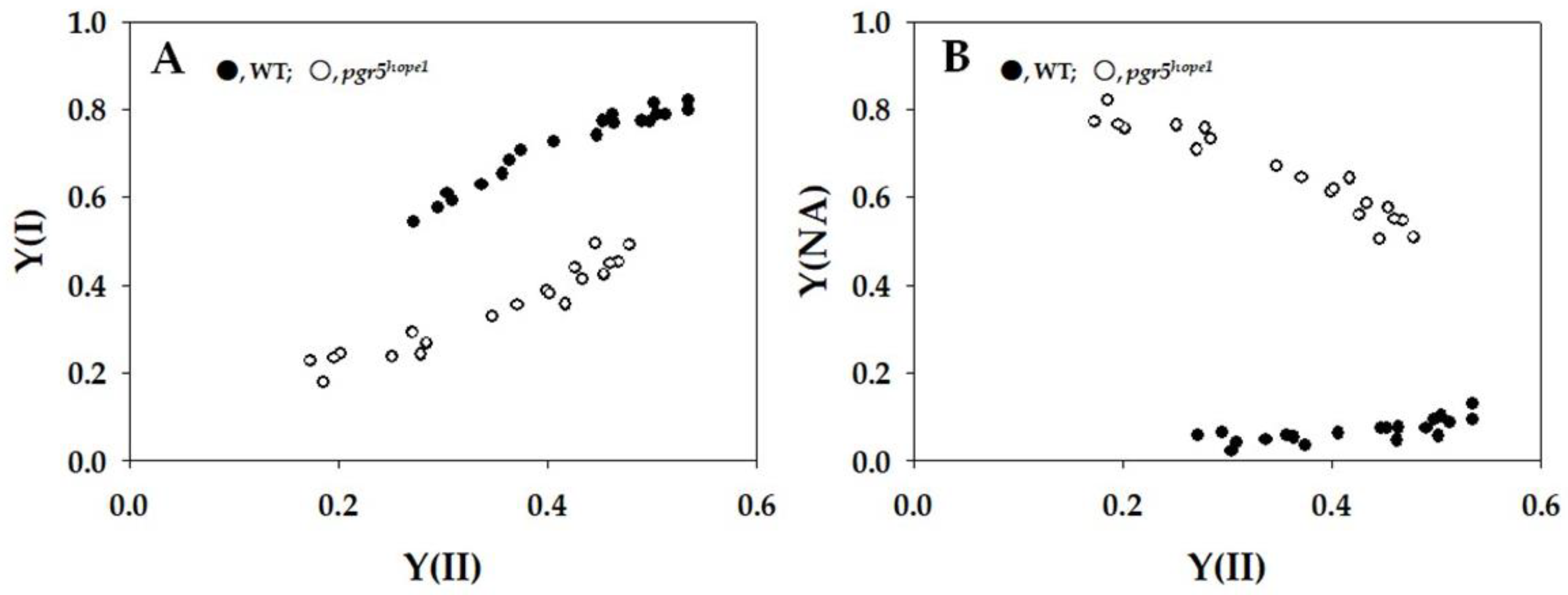 Ijms 25 02677 g004 Ijms 25 02677 g004