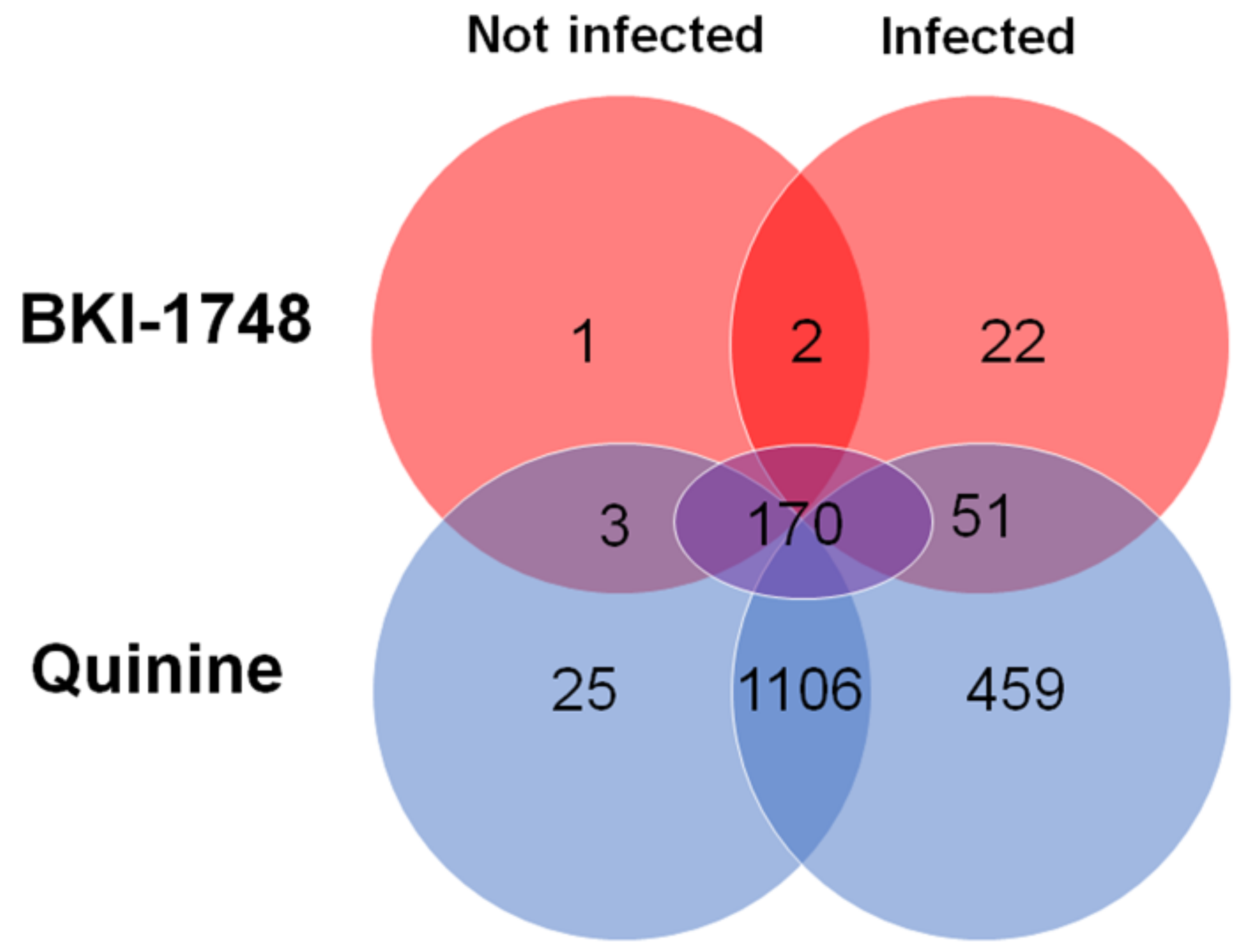 Ijms 25 02707 g006 Ijms 25 02707 g006