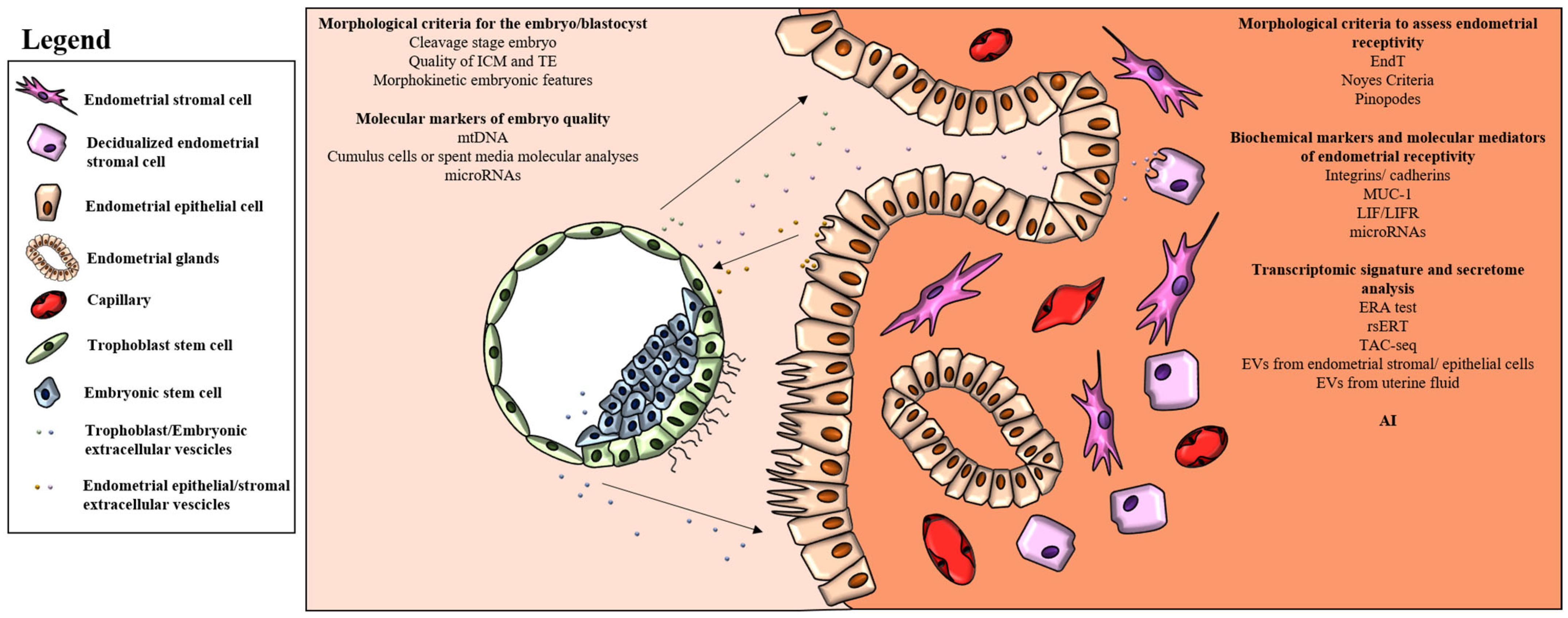 Ijms 25 02834 g001 Ijms 25 02834 g001