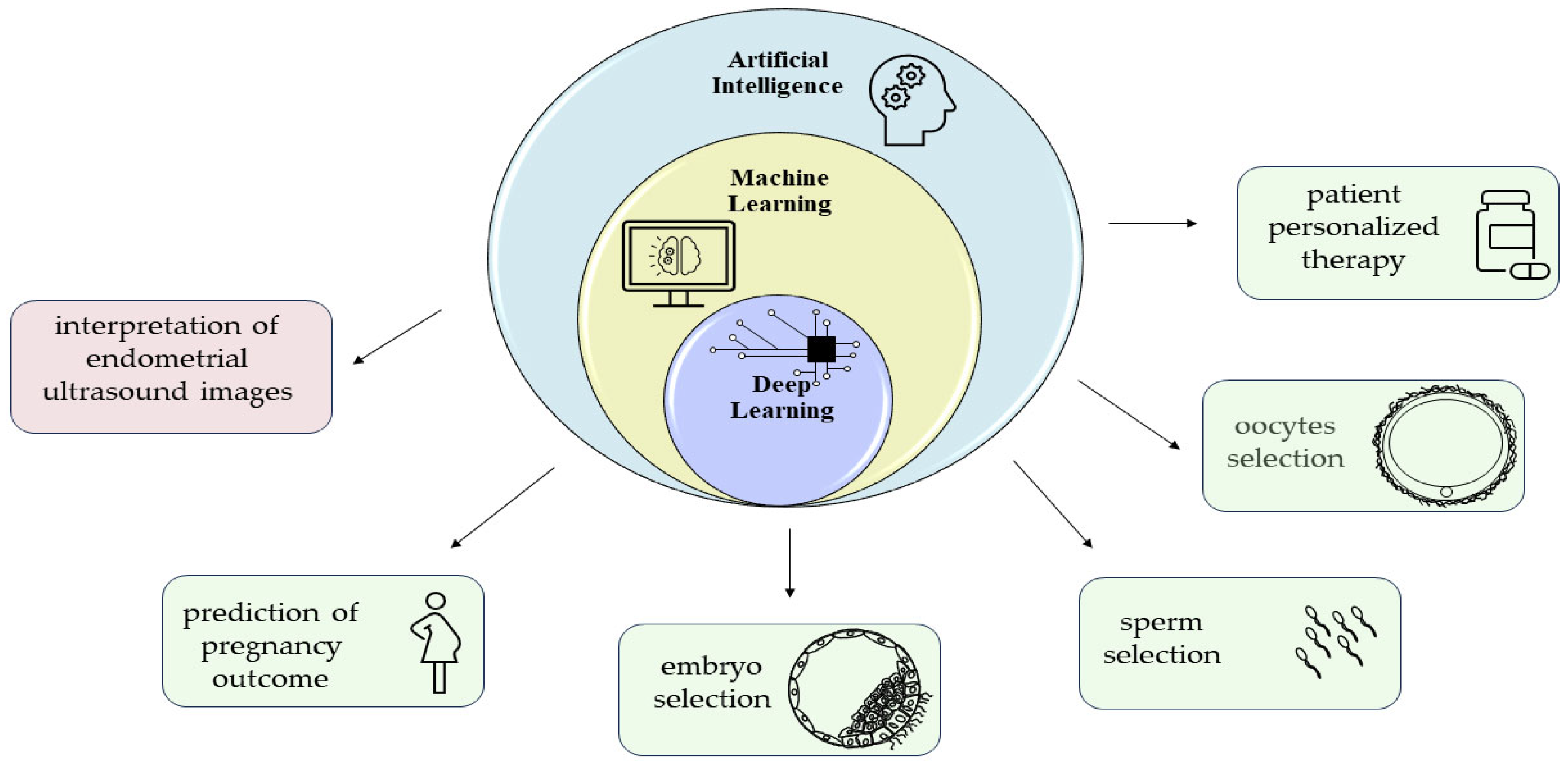 Ijms 25 02834 g002 Ijms 25 02834 g002