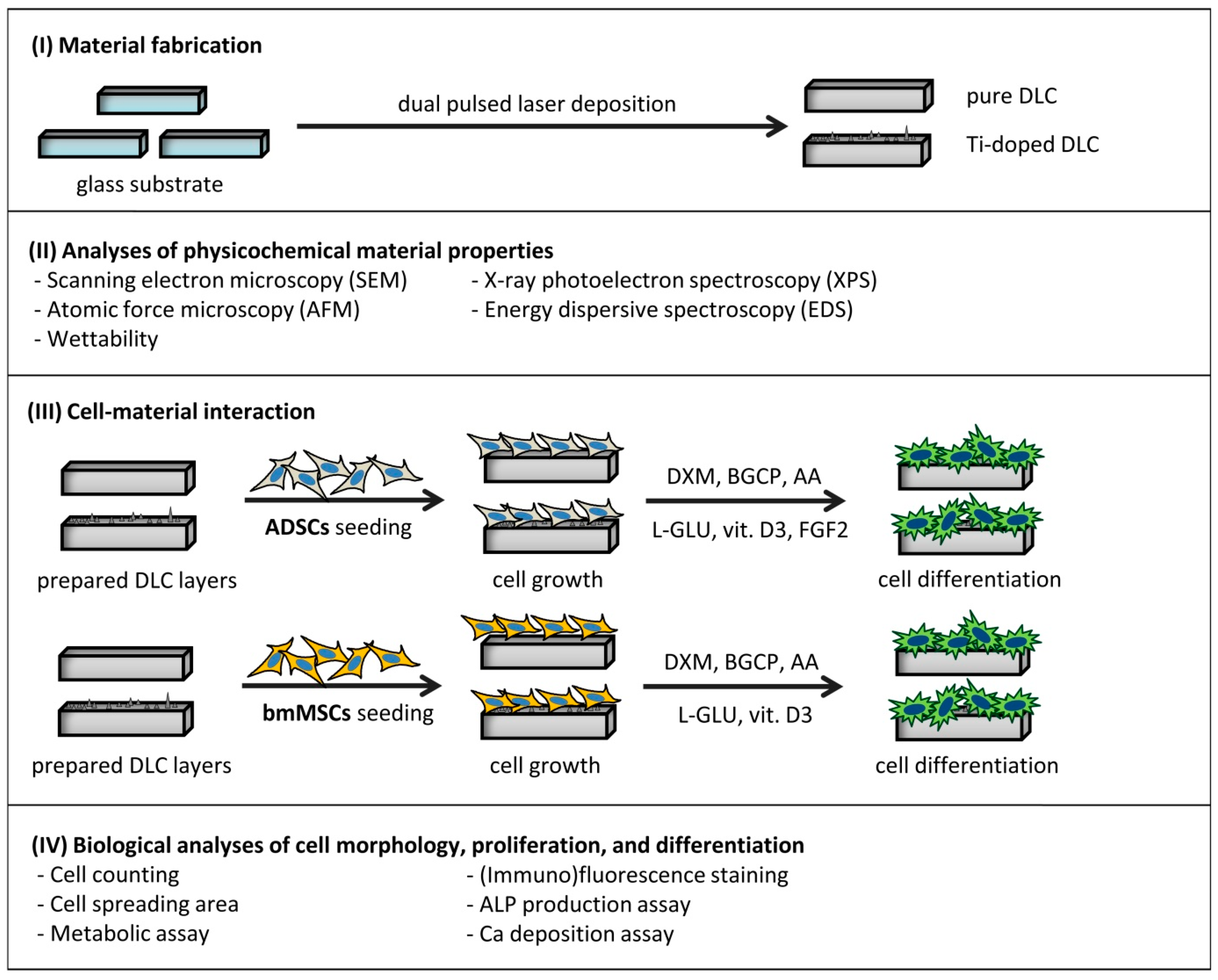 Ijms 25 02837 sch001